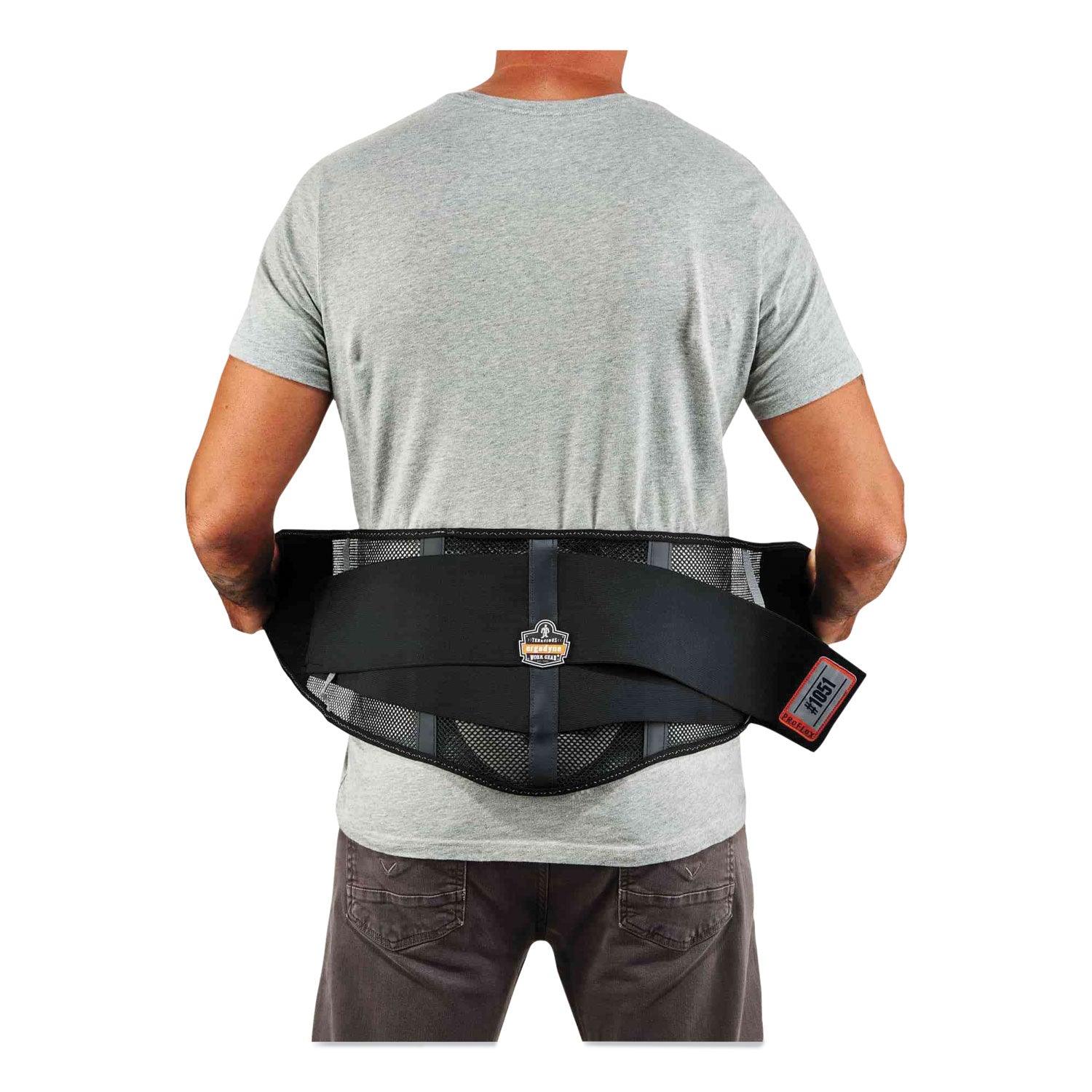 Ergodyne ProFlex 1051 Mesh Back Support with Lumbar Pad, Black, Mesh Fabric, Small, 1 Each