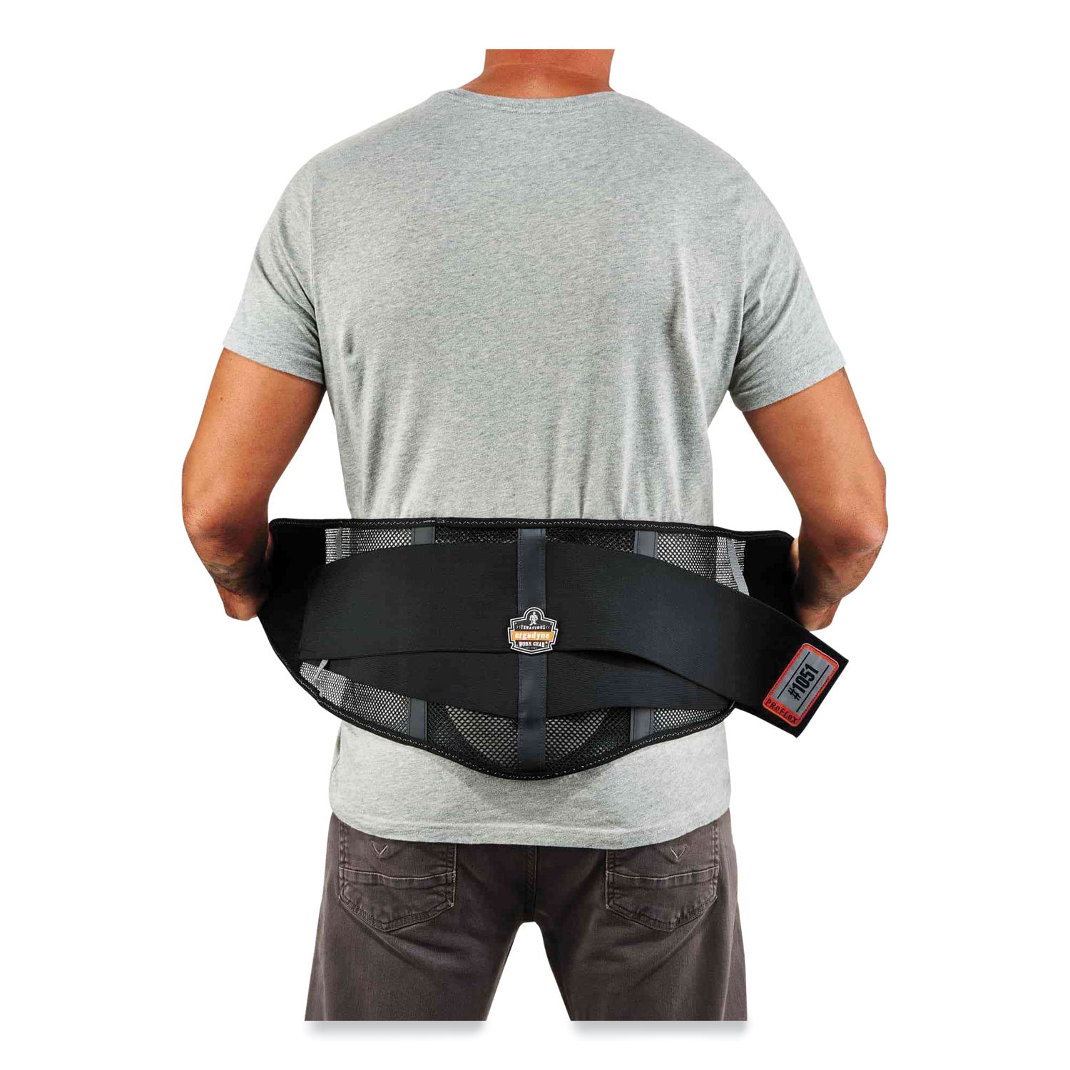 Ergodyne ProFlex 1051 Mesh Back Support with Lumbar Pad, Black, Mesh Fabric, Extra Large (XL), 1 Each