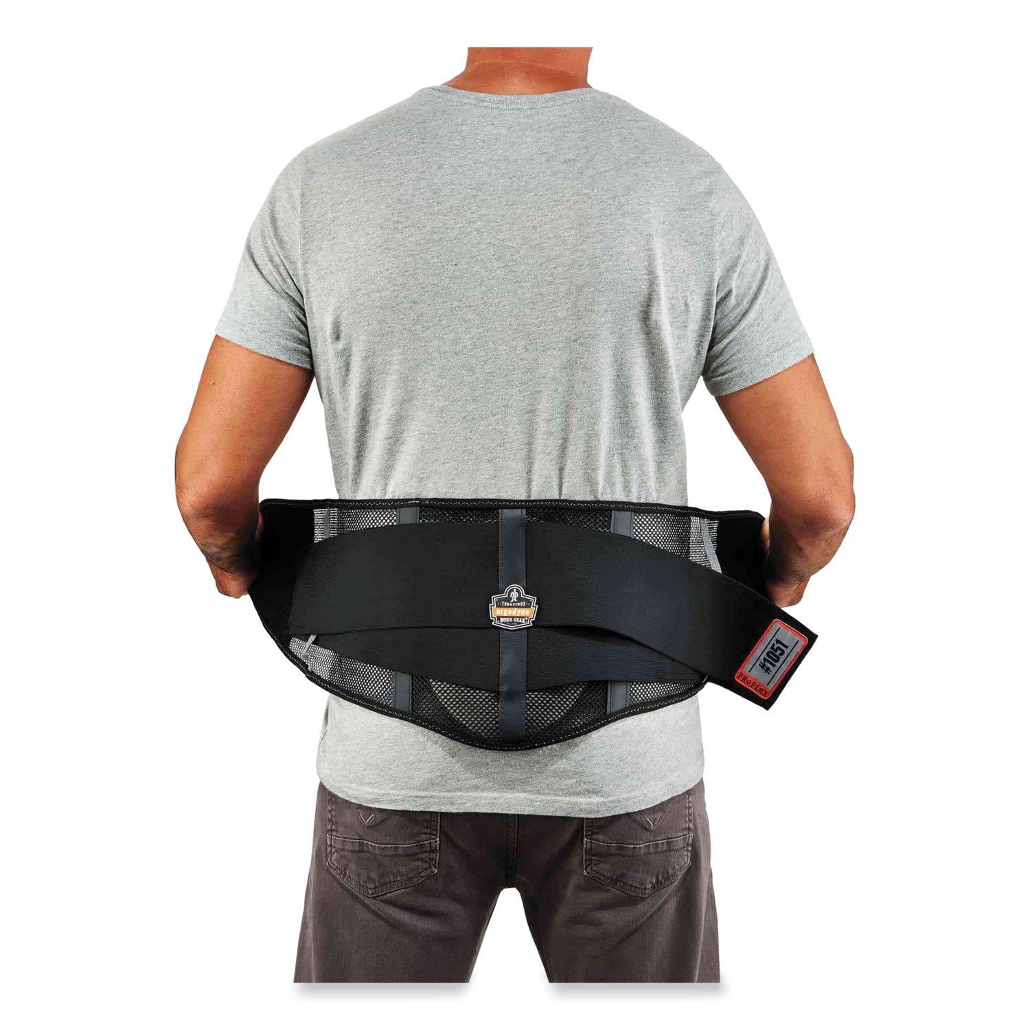 Ergodyne ProFlex 1051 Mesh Back Support with Lumbar Pad, Black, Mesh Fabric, XXL, 1 Each