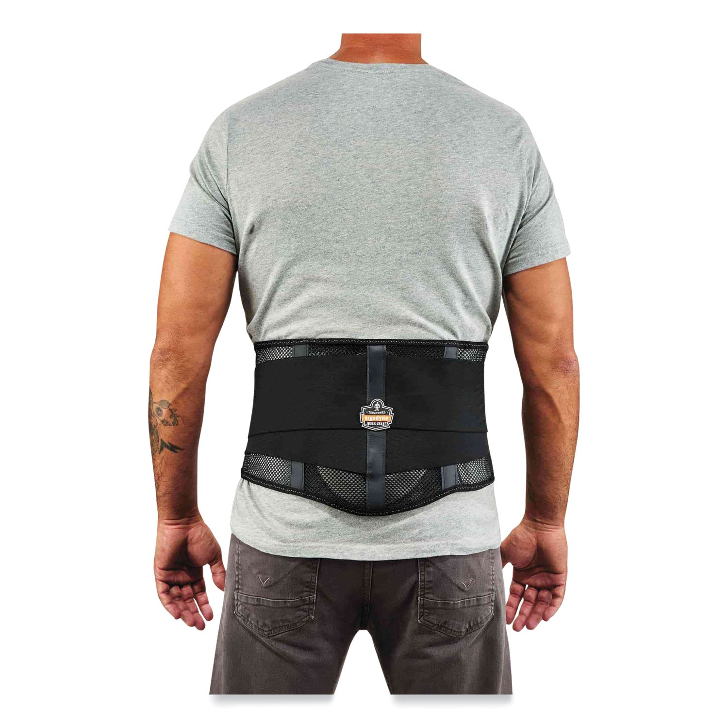 Ergodyne ProFlex 1051 Mesh Back Support with Lumbar Pad, Black, Mesh Fabric, XXL, 1 Each
