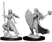D&D Nolzurs Marvelous Unpainted Miniatures: Wave 9: Elf Female Paladin