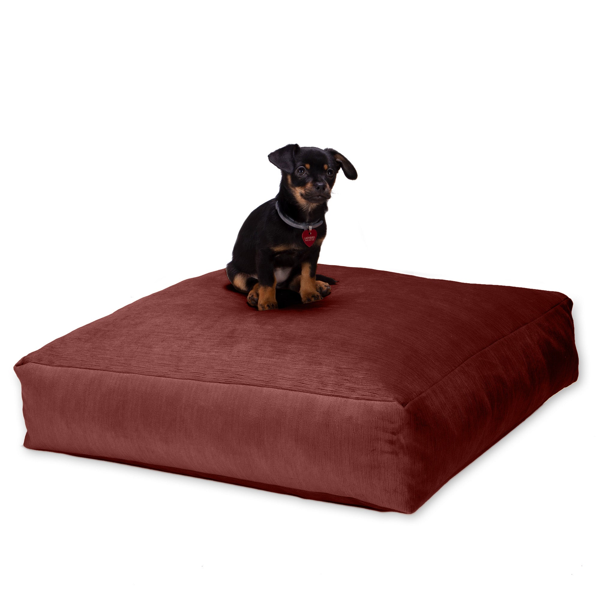 Jaxx Brio Large Décor Floor Pillow/Meditation Yoga Cushion, Plush Microvelvet, Berry Red