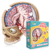 Human Brain Floor Puzzle - Doctor Livingston Jr Anatomy Model - 100 Piece Jigsaw Puzzle - Kids Puzzle and STEM Game About Brain - Medically Accurate Science Toys for Kids, Toddlers, Teens
