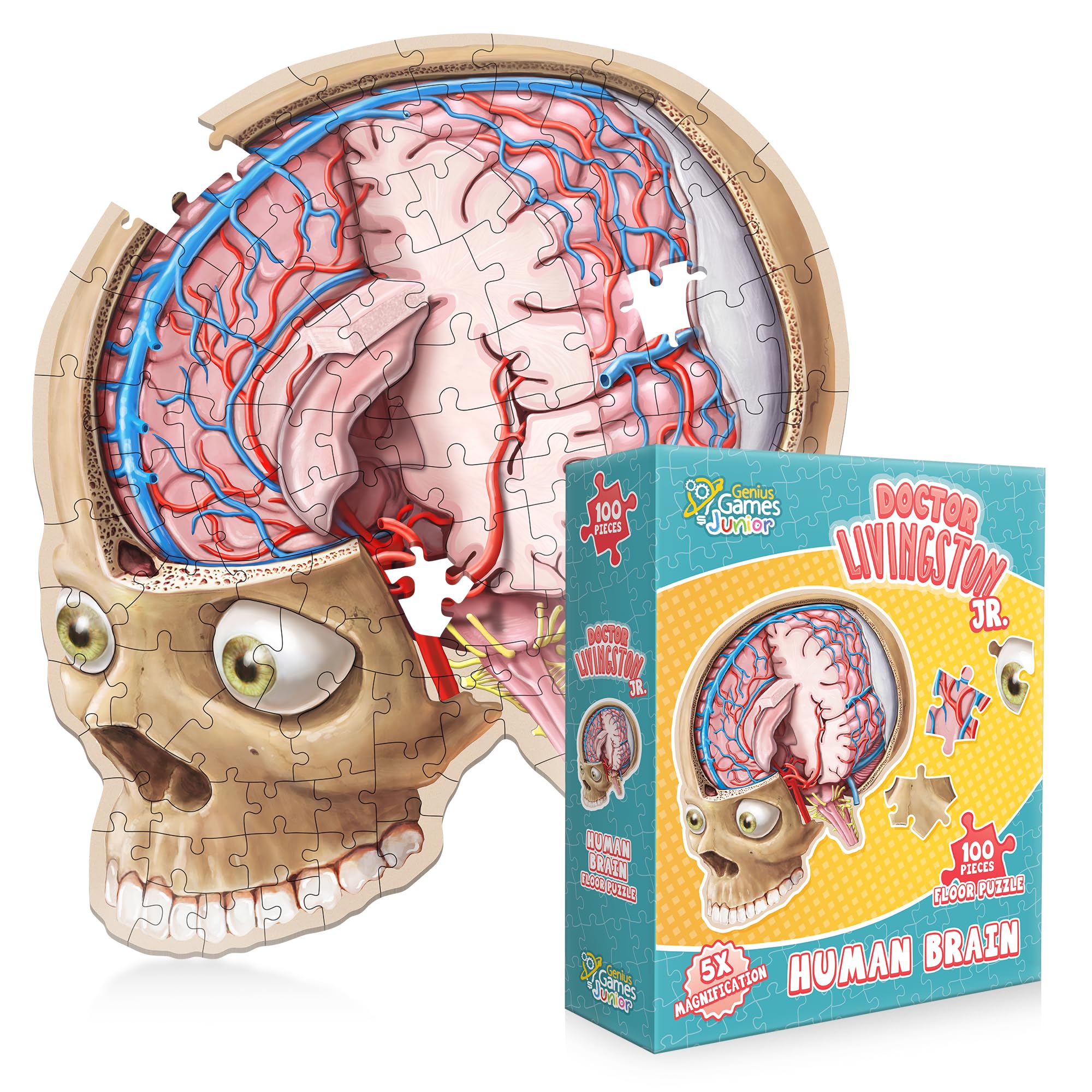Human Brain Floor Puzzle - Doctor Livingston Jr Anatomy Model - 100 Piece Jigsaw Puzzle - Kids Puzzle and STEM Game About Brain - Medically Accurate Science Toys for Kids, Toddlers, Teens
