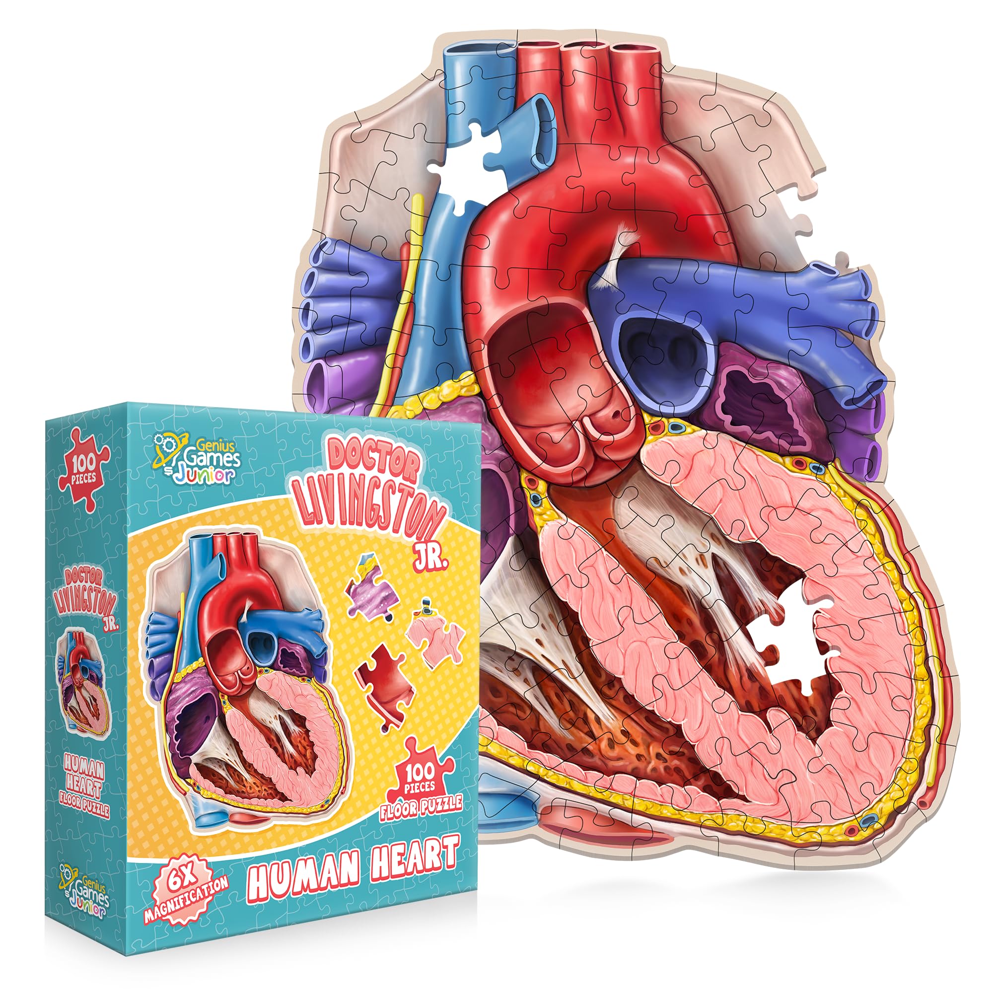 Human Heart Anatomy Floor Puzzle — Genius Games Doctor Livingston Jr Anatomy Toy - Kids Puzzles & Science Toys - Human Heart Model - 100 Piece Jigsaw Puzzles for Kids, Toddlers, Teens