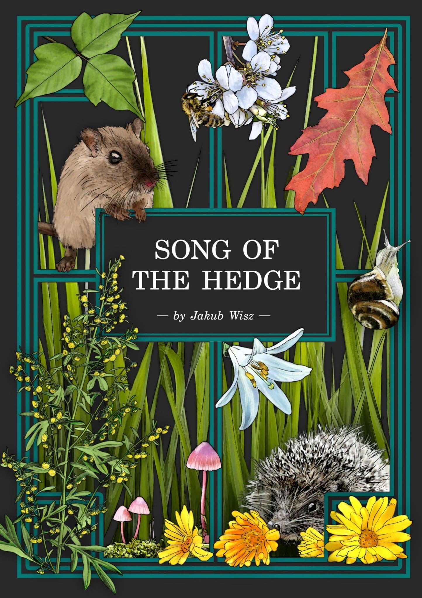 Song of the Hedge Herbalist's Adventure