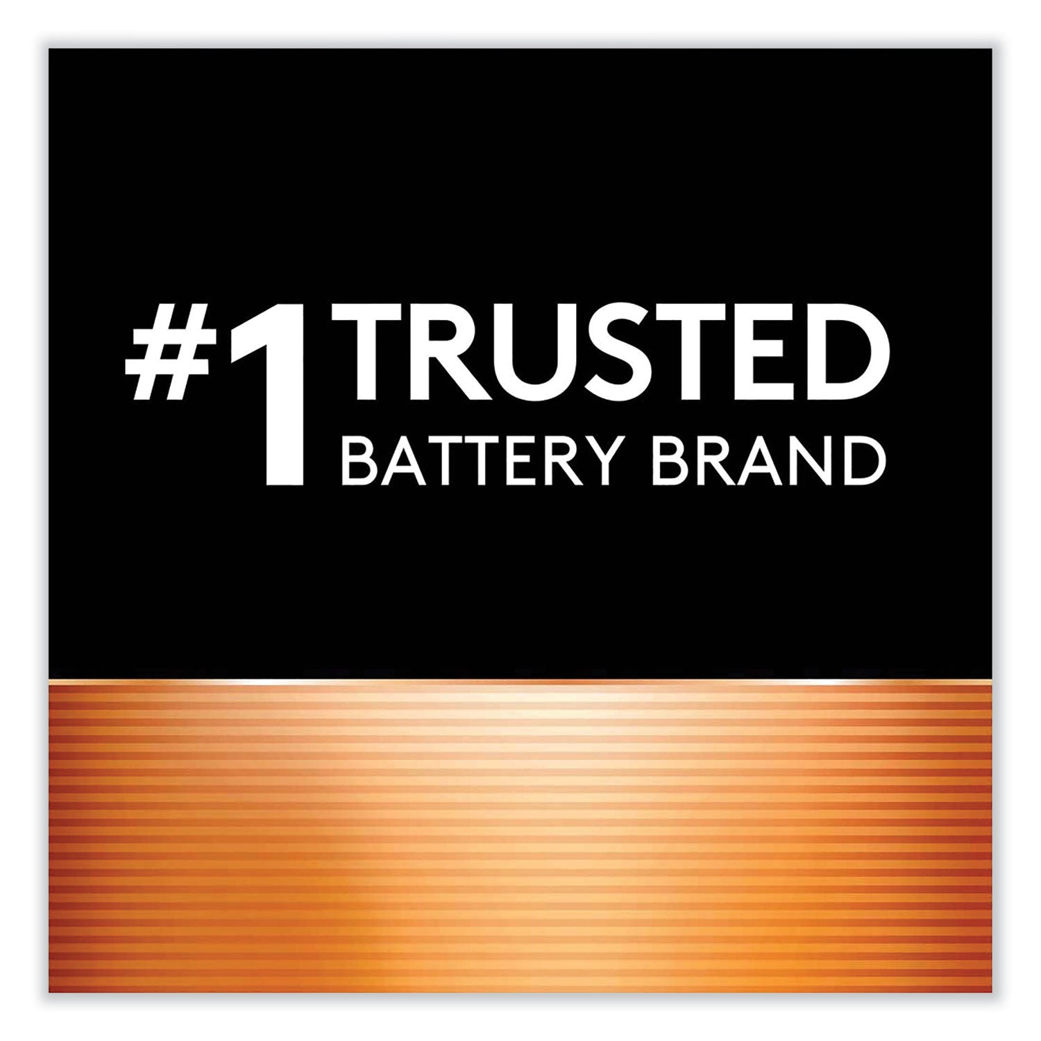 DL2016BPK Duracell Specialty Lithium Coin - Bitterant, 1 Pack