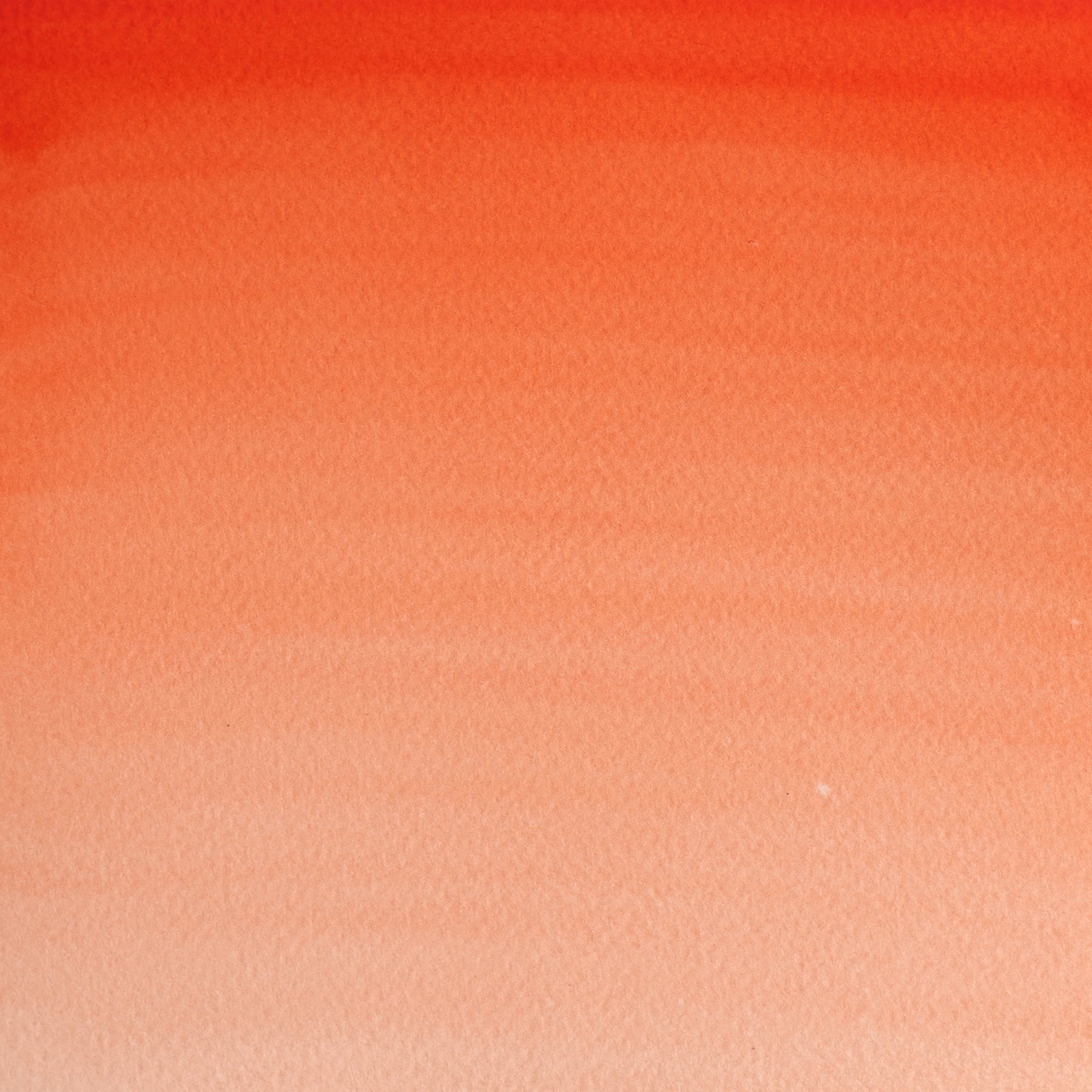 CWC Half Pan - Cadmium Red Pale Hue