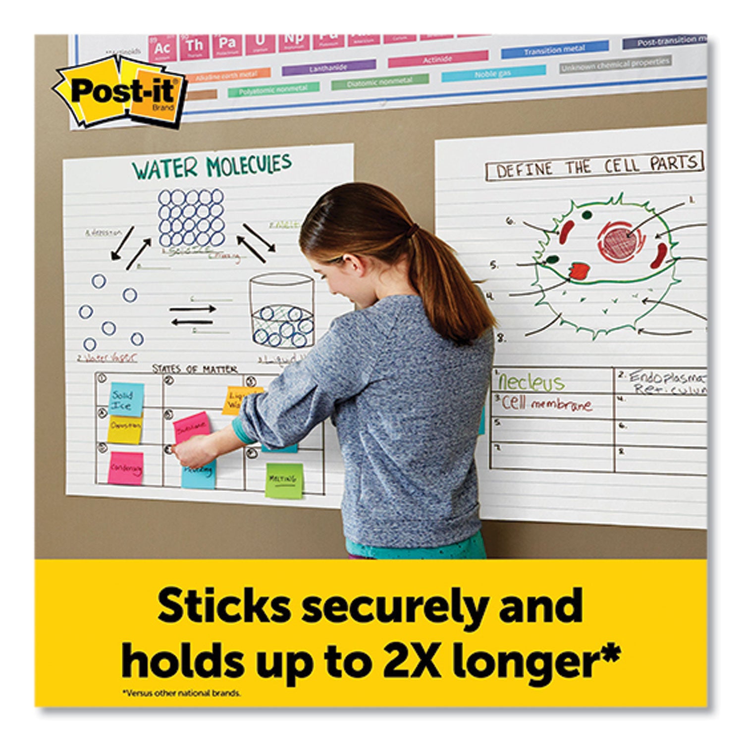 30 Sheets - Ruled Front Ruling x 25" Width x 30" Length - Self-stick, Resist Bleed-through, Handle, Sturdy Backcard, Universal Slot, Repositionable, Adhesive Backing - 6 / Carton