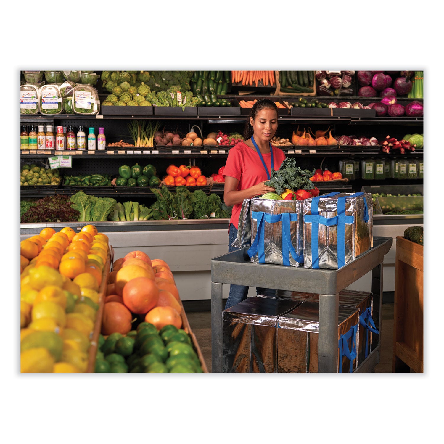Fresh Eco Freeze Tote, (2) Blue Nylon Shoulder Straps, (2) Blue Nylon Strap Handles, 13.5" x 9" x 13", Silver/Blue, 4/Carton