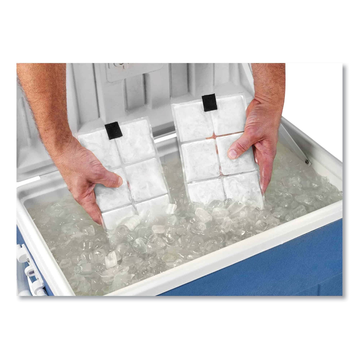 Clear - Polyester, Cotton - 4 / Set