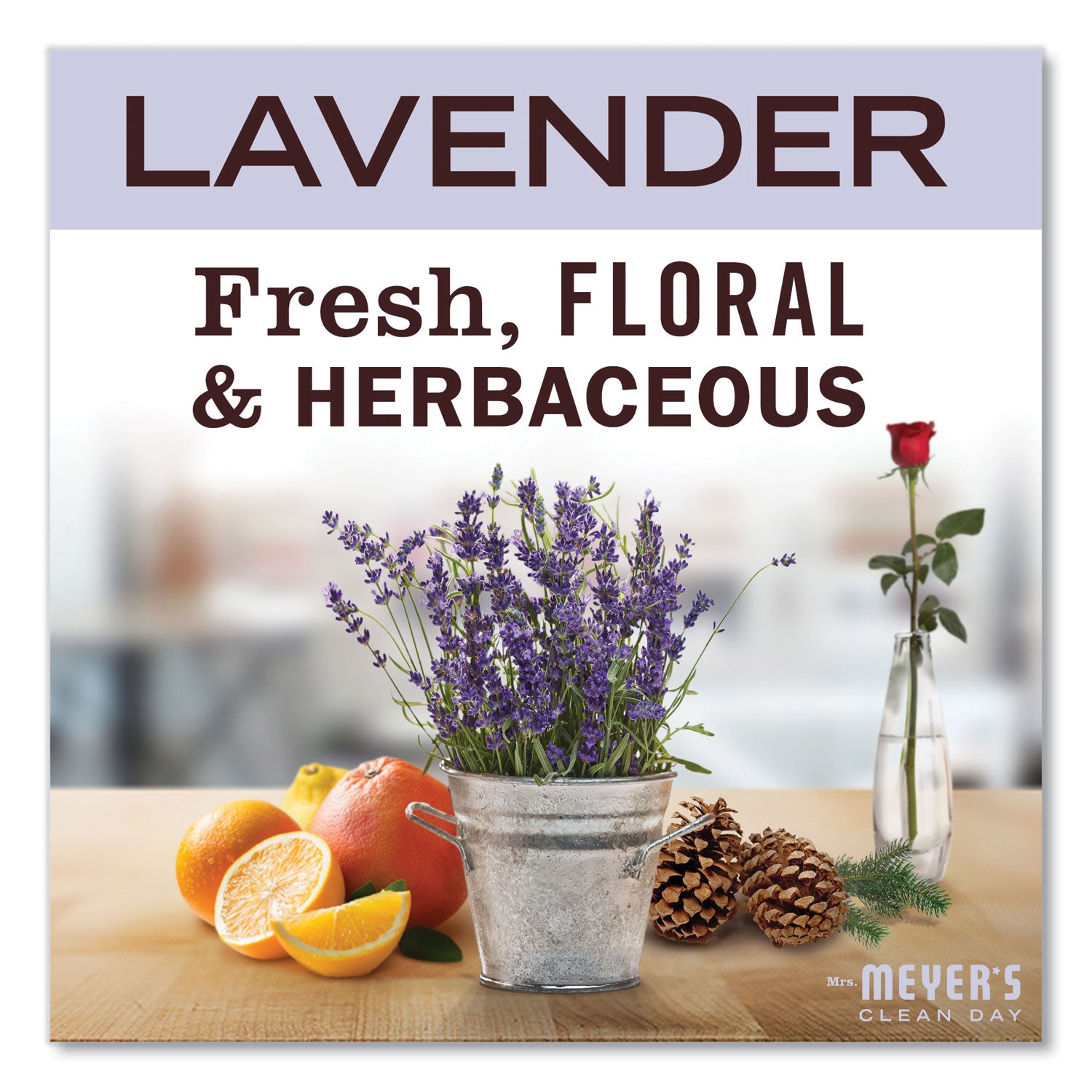 Mrs. Meyer's Clean Day Lavender Lotion - Lotion - 12 fl oz - Lavender - Pump Bottle - For Dry Skin - Applicable on Hand - Cruelty-free, Non-greasy, Paraben-free, Moisturising Pump Bottle - 1 Each