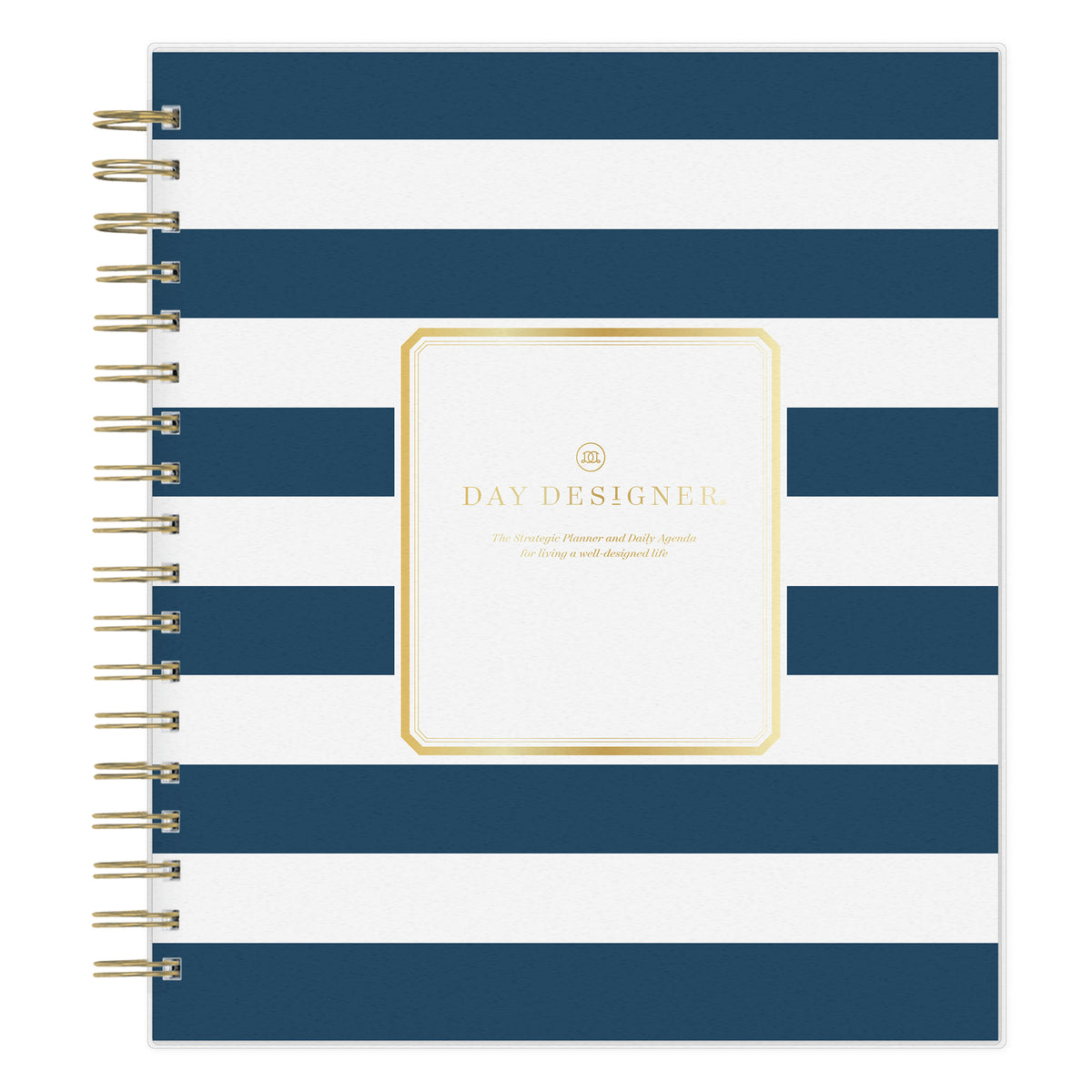 PLANNING CAL DD RUGBY STRIPE NAVY