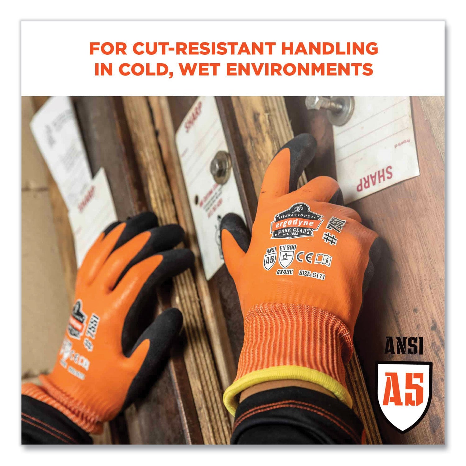 Ergodyne ProFlex 7551 A5 Coated Waterproof Gloves, Small, Orange, Nitrile & Latex Coating, 1.75" Thick, 10" Length, 2 Pairs per Pack, 12 Packs per Carton