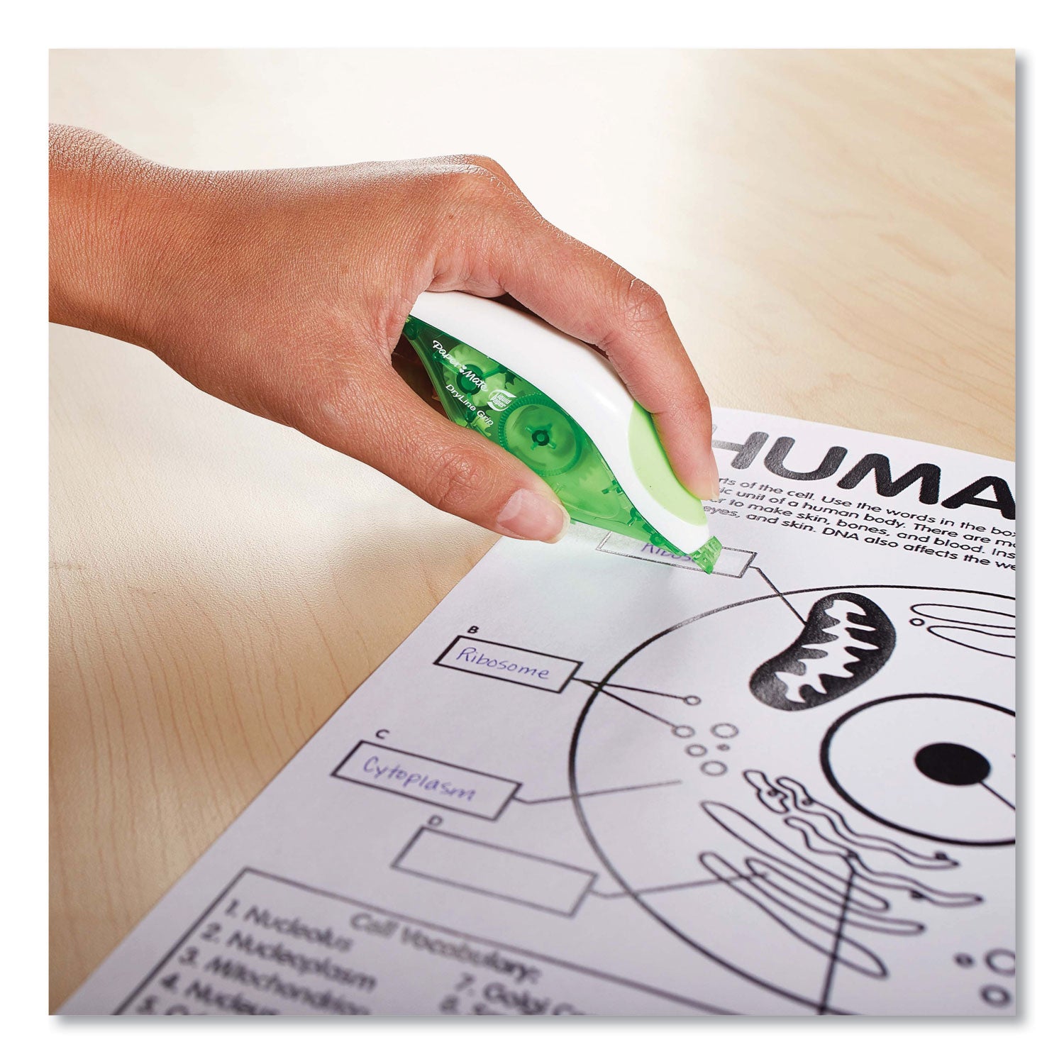 Paper Mate DryLine Grip Correction Tape, 0.20" x 27.80 ft, Green/White/Transparent Dispenser, Smooth, Mess-free, Swivel Tip, Ergonomic, Tear Resistant, 2 Pack