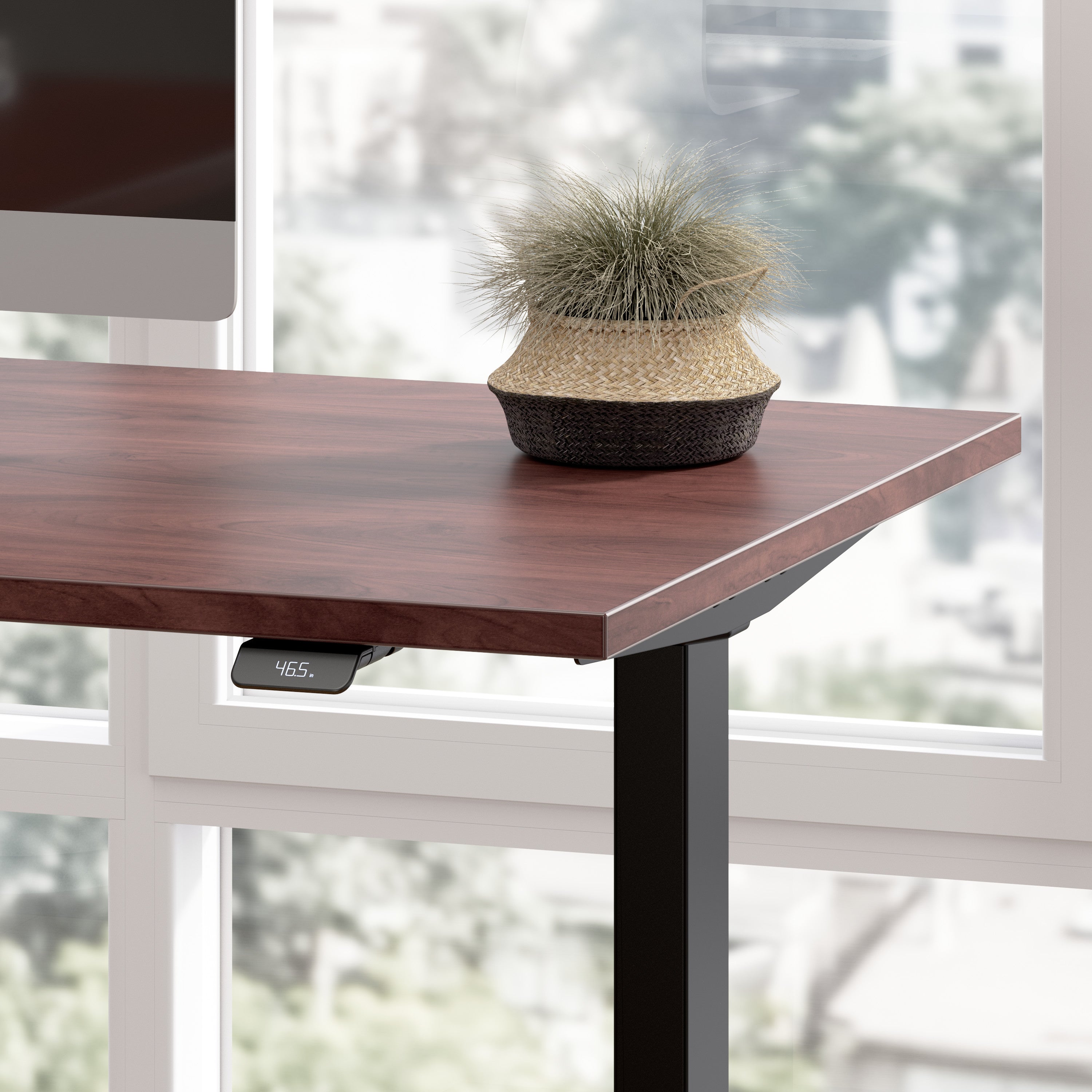 Bush Business Furniture Move 60 Series 60W x 30D Electric Height Adjustable Standing Desk in Hansen Cherry with Black Base - 59.45" Width x 29.37" Depth x 47.69" Height