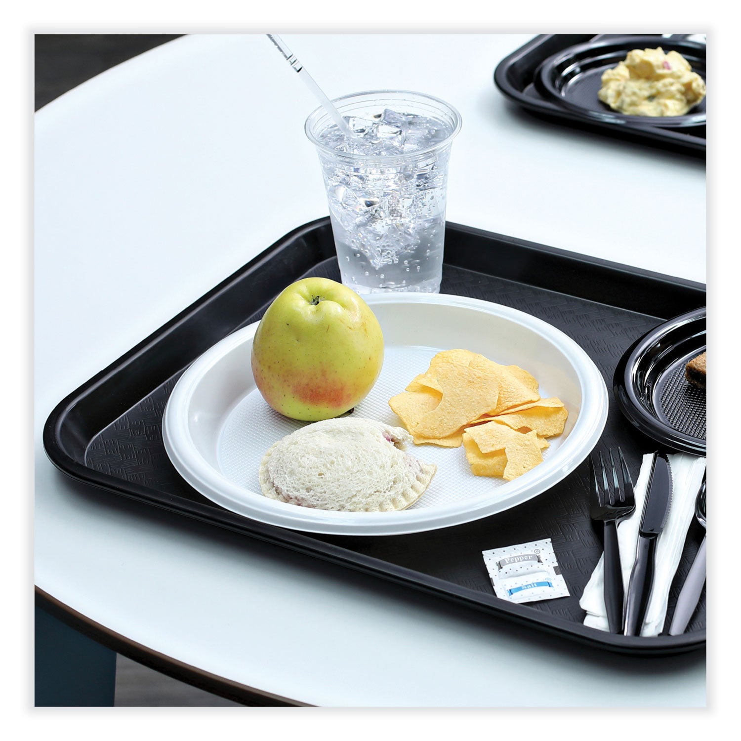 Hi-Impact Plastic Dinnerware, Plate, 10" Dia, White, 500/carton