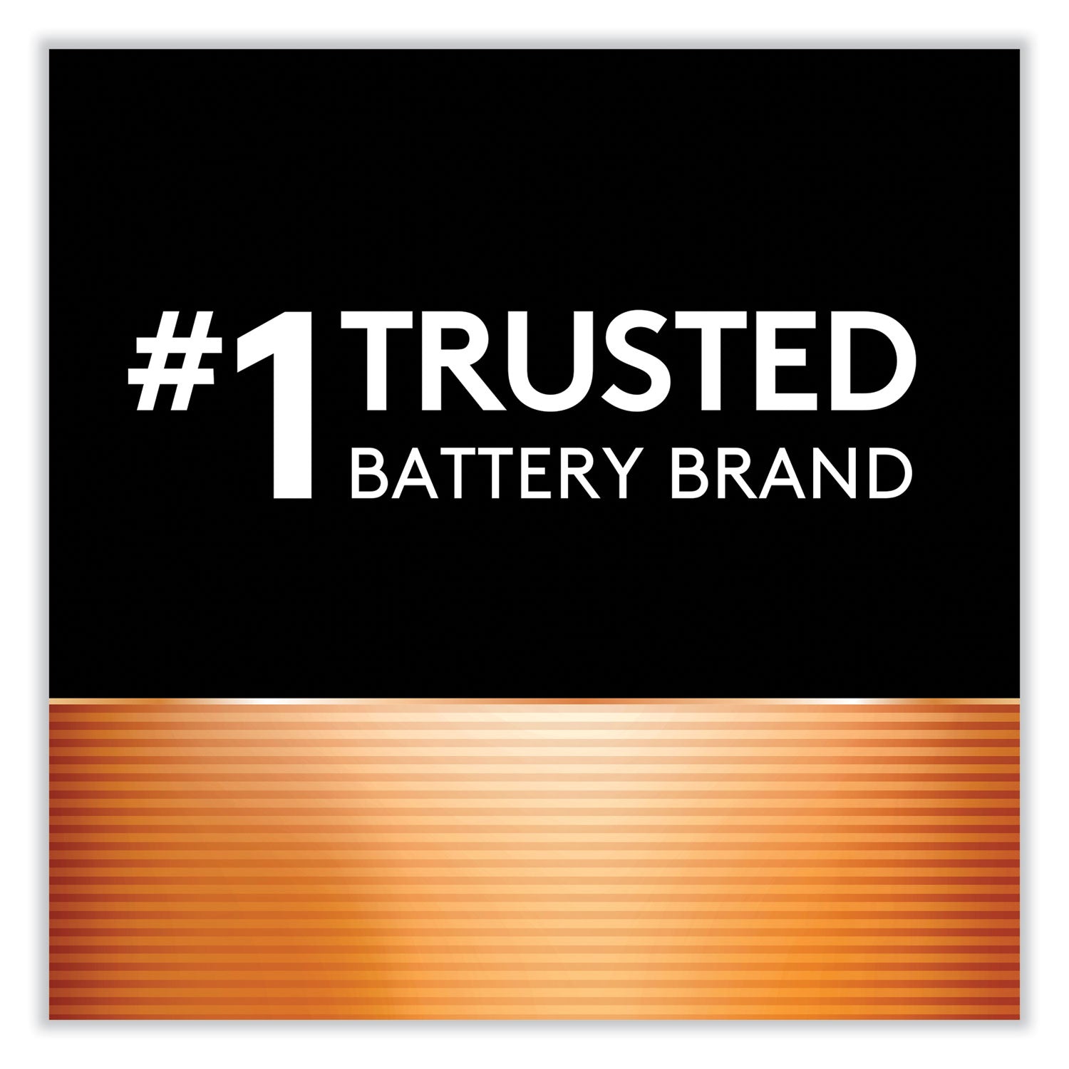 Duracell Coppertop Alkaline AAA Batteries - For Multipurpose - AAA - 1.5 V DC - 8 / Pack
