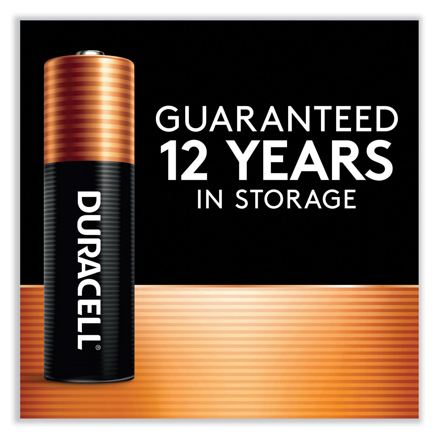 Duracell Coppertop Alkaline AA Batteries - For Multipurpose - AA - 1.5 V DC - 4 / Pack