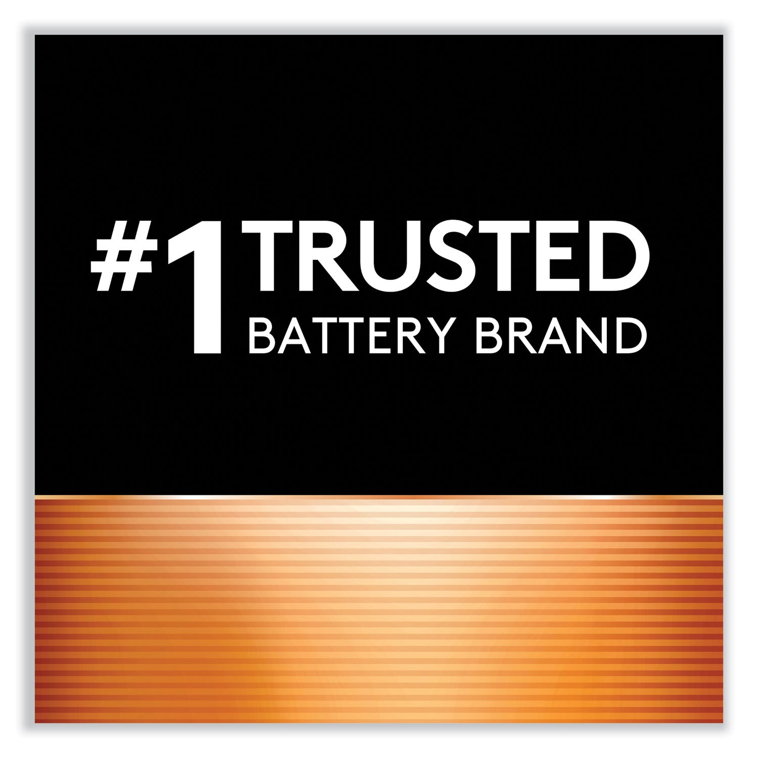 Power Boost CopperTop Alkaline AA Batteries, 2/Pack