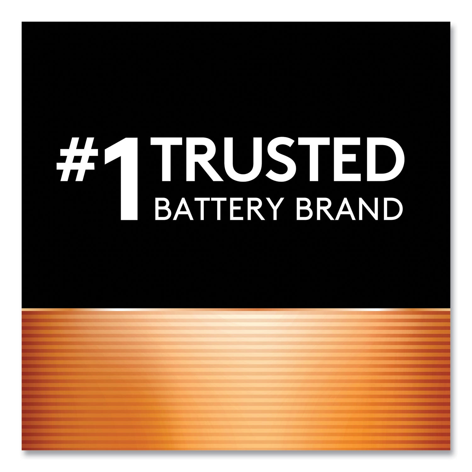 Duracell Coppertop Alkaline AAA Batteries - For Multipurpose - AAA - 1.5 V DC - 16 / Pack