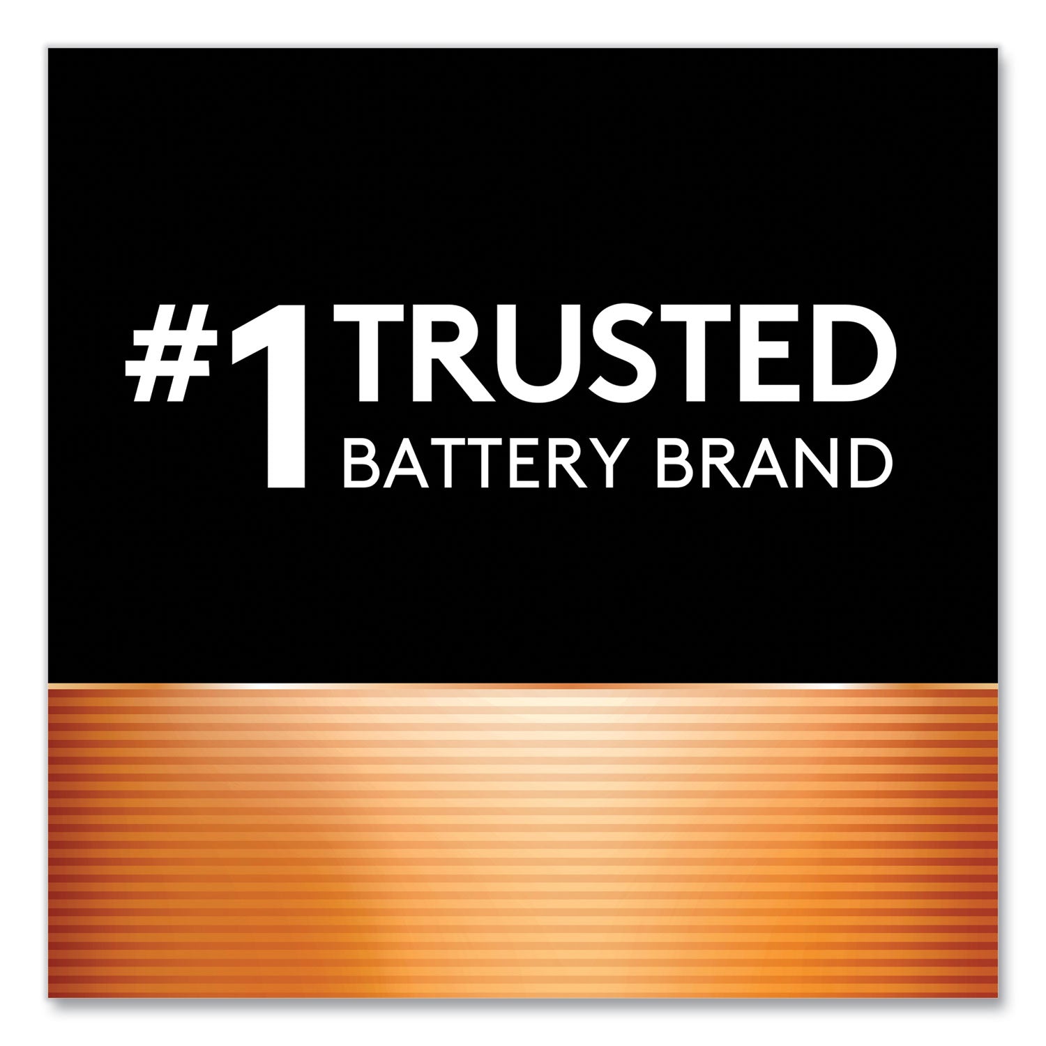Duracell Coppertop Alkaline AA Batteries - For Multipurpose - AA - 1.5 V DC - 10 / Pack