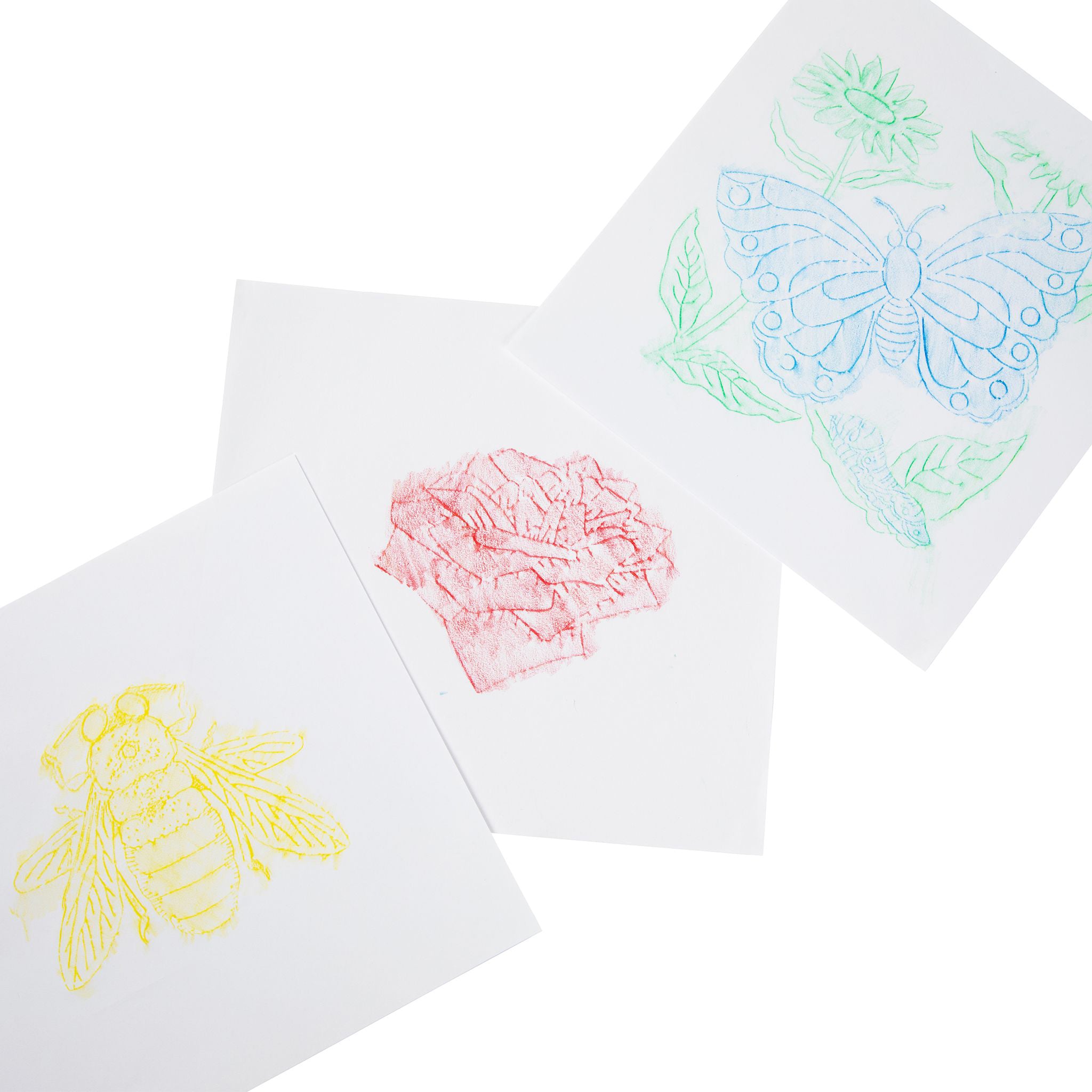 Bug Rubbing Plates, Pack of 6