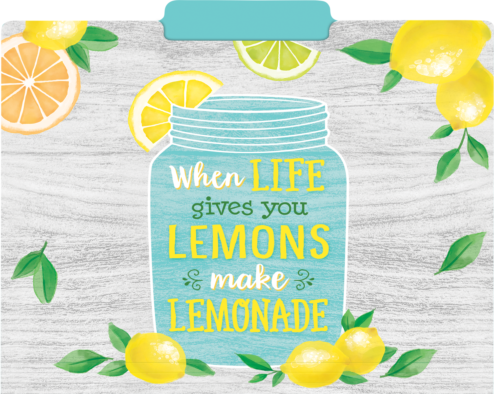 Lemon Zest File Folders