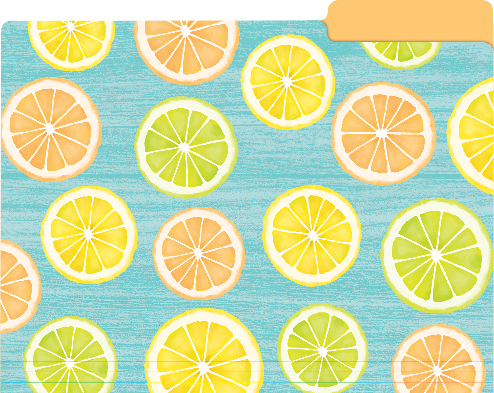Lemon Zest File Folders