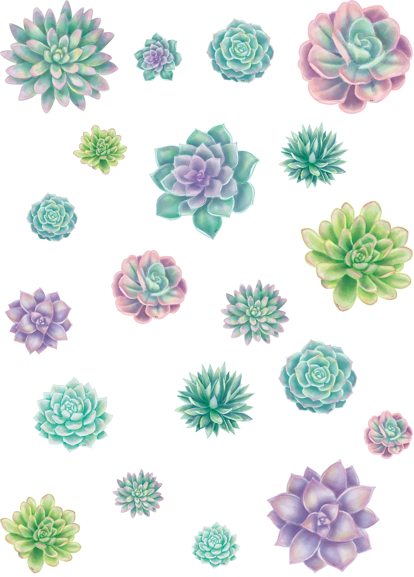 Rustic Bloom Succulents Accents - Assorted Sizes