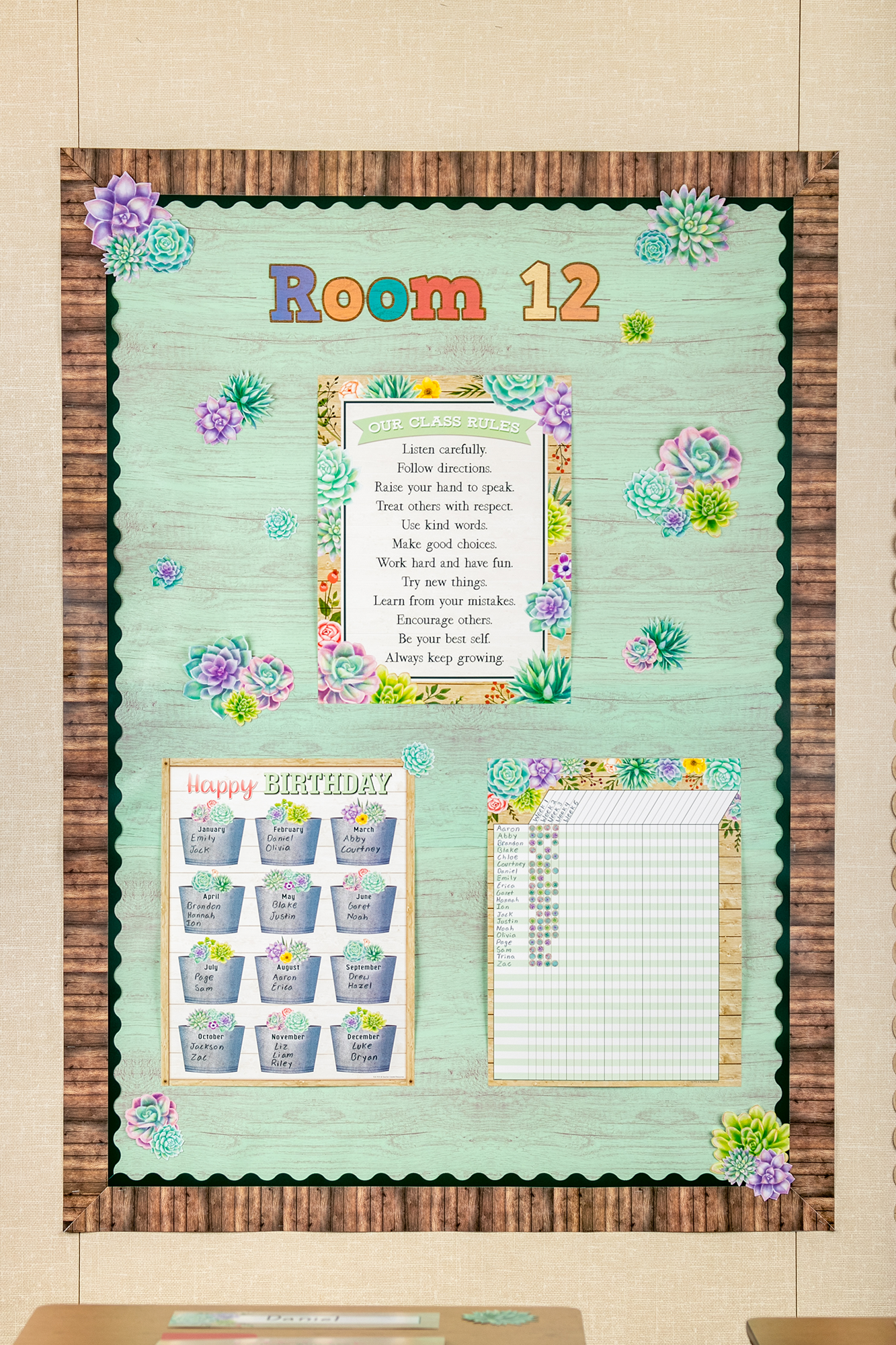 Rustic Bloom Succulents Accents - Assorted Sizes