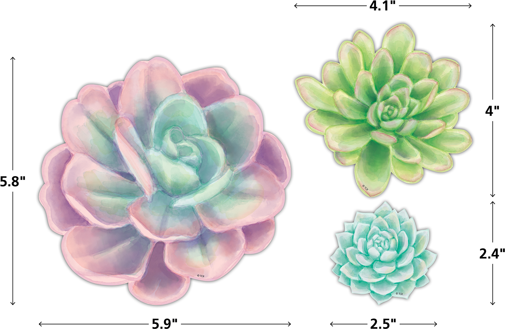 Rustic Bloom Succulents Accents - Assorted Sizes