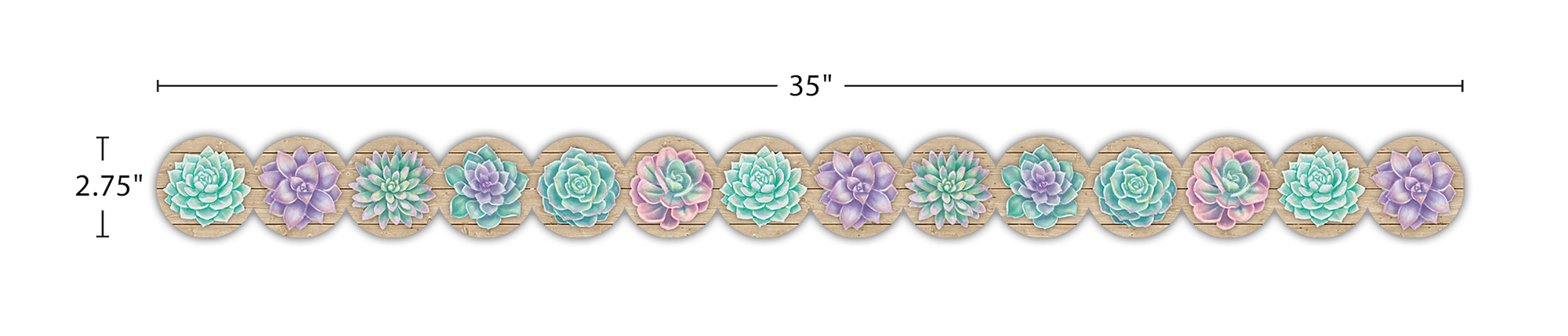 Rustic Bloom Succulents Die-Cut Border Trim