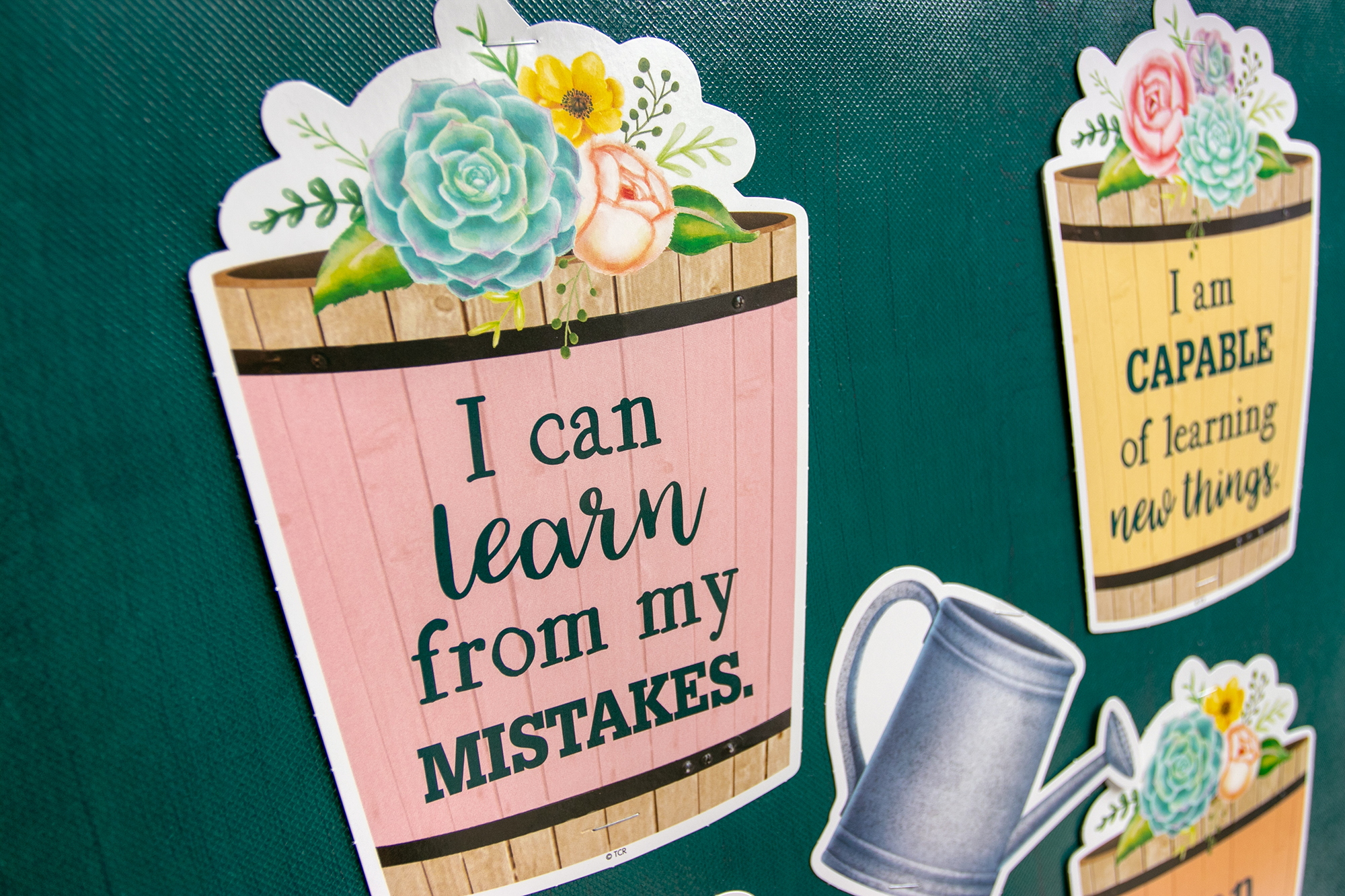Rustic Bloom Grow Your Mindset Mini Bulletin Board