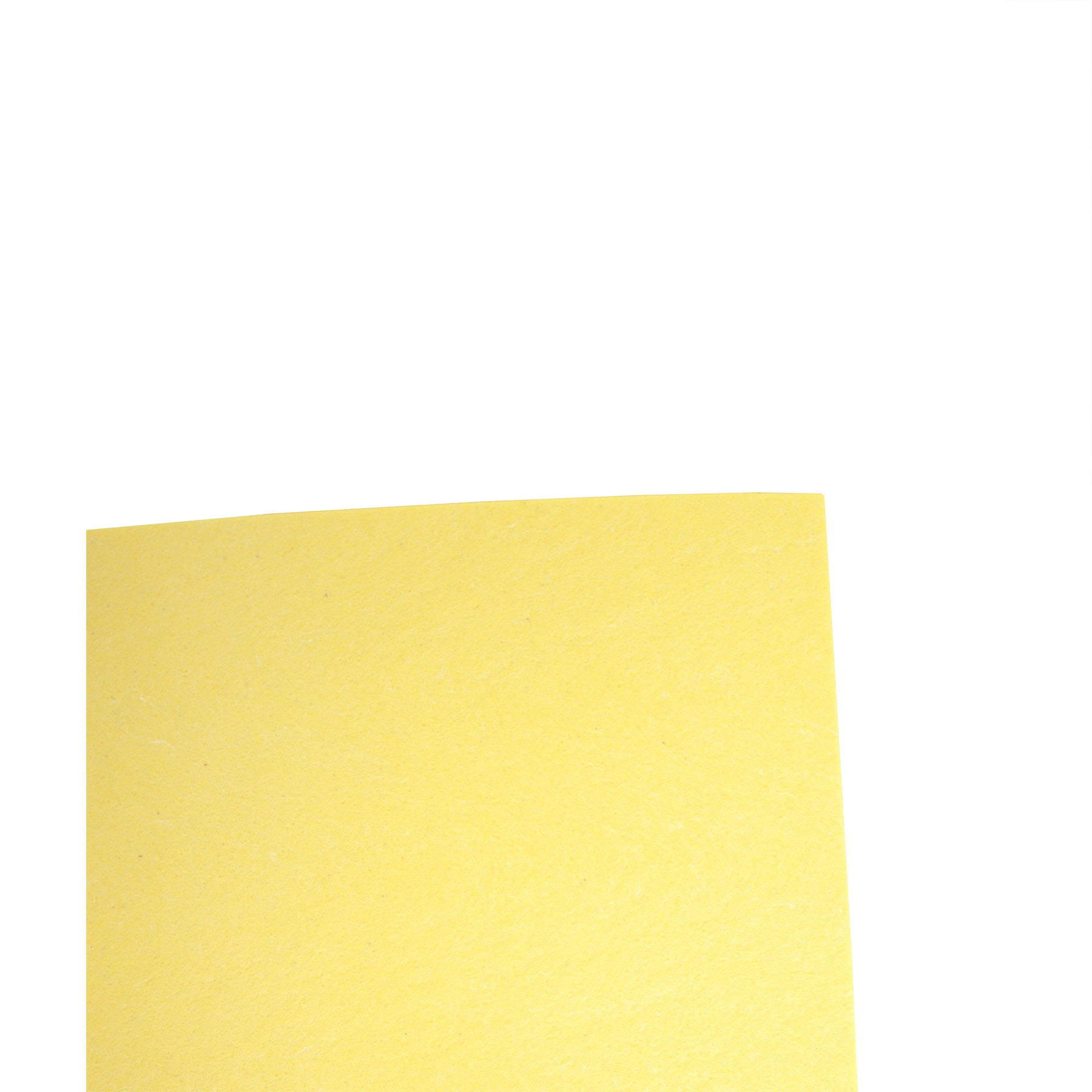 Painter's Pal Sponge Refill (3 Pack)