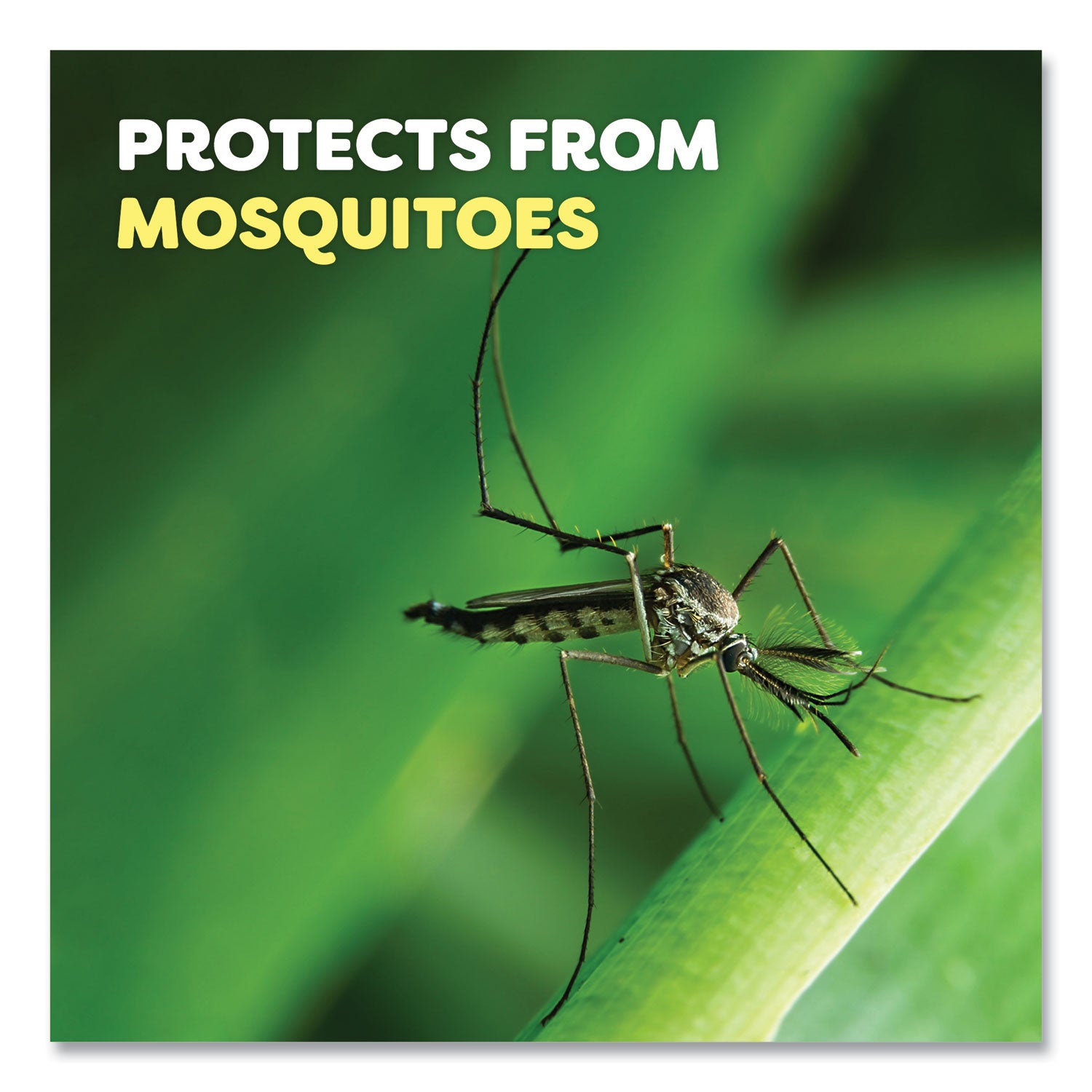 Spray - Kills Bugs, Mosquitoes, Ticks, Black Flies, Sand Flies, Chiggers, Fleas, Gnats - 6 fl oz - Green - 12 / Carton