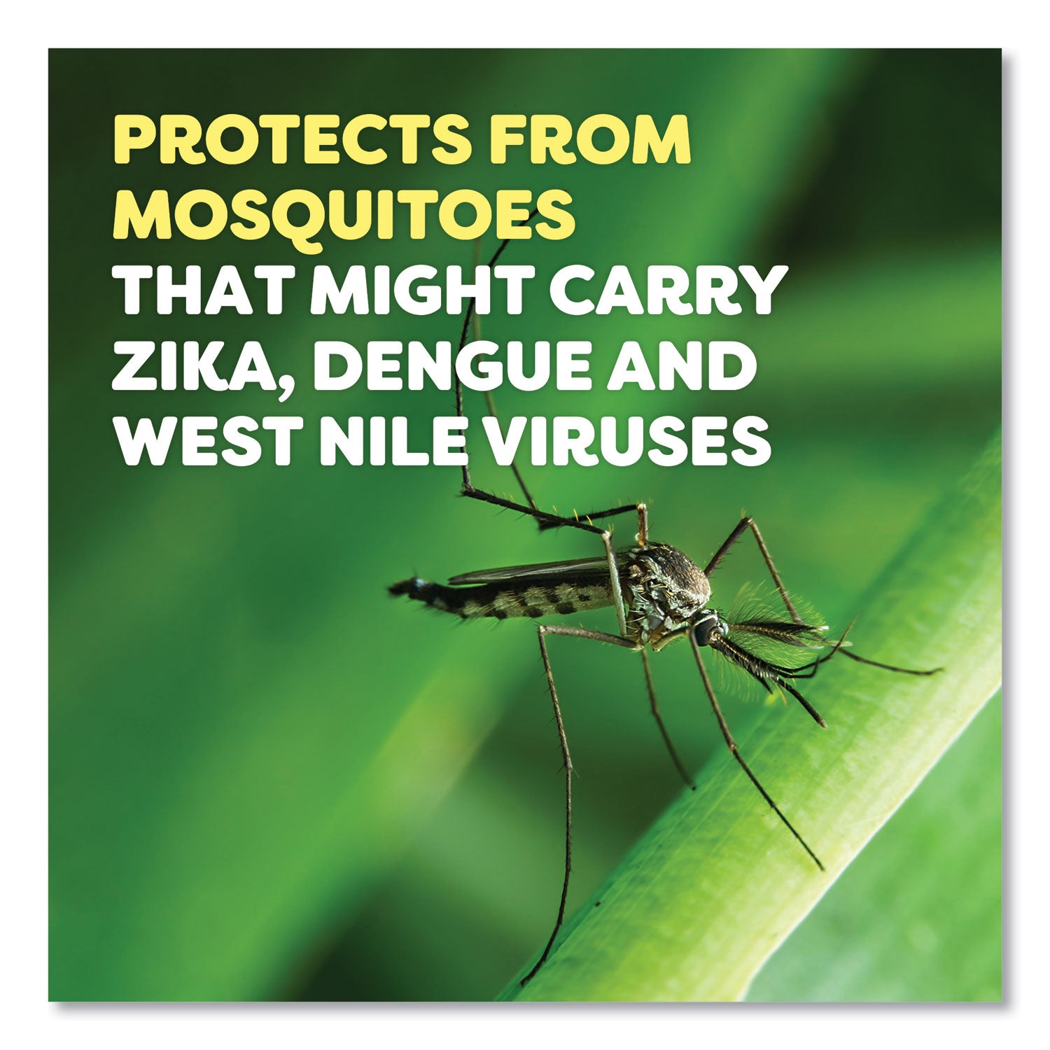 Spray - Kills Bugs, Mosquitoes, Ticks, Black Flies, Sand Flies, Chiggers, Fleas, Gnats - 6 fl oz - Green - 12 / Carton