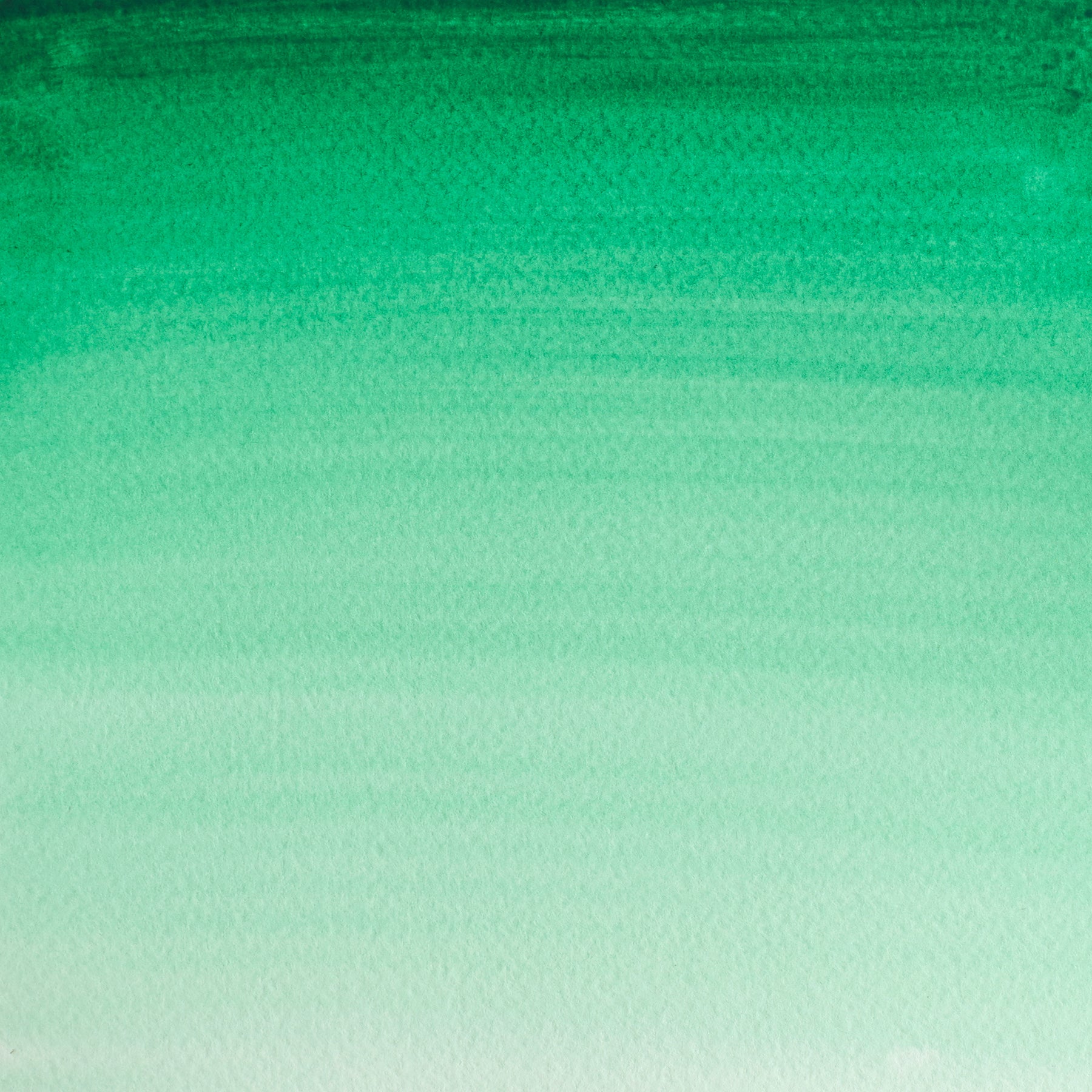 CWC Half Pan - Intense Green
