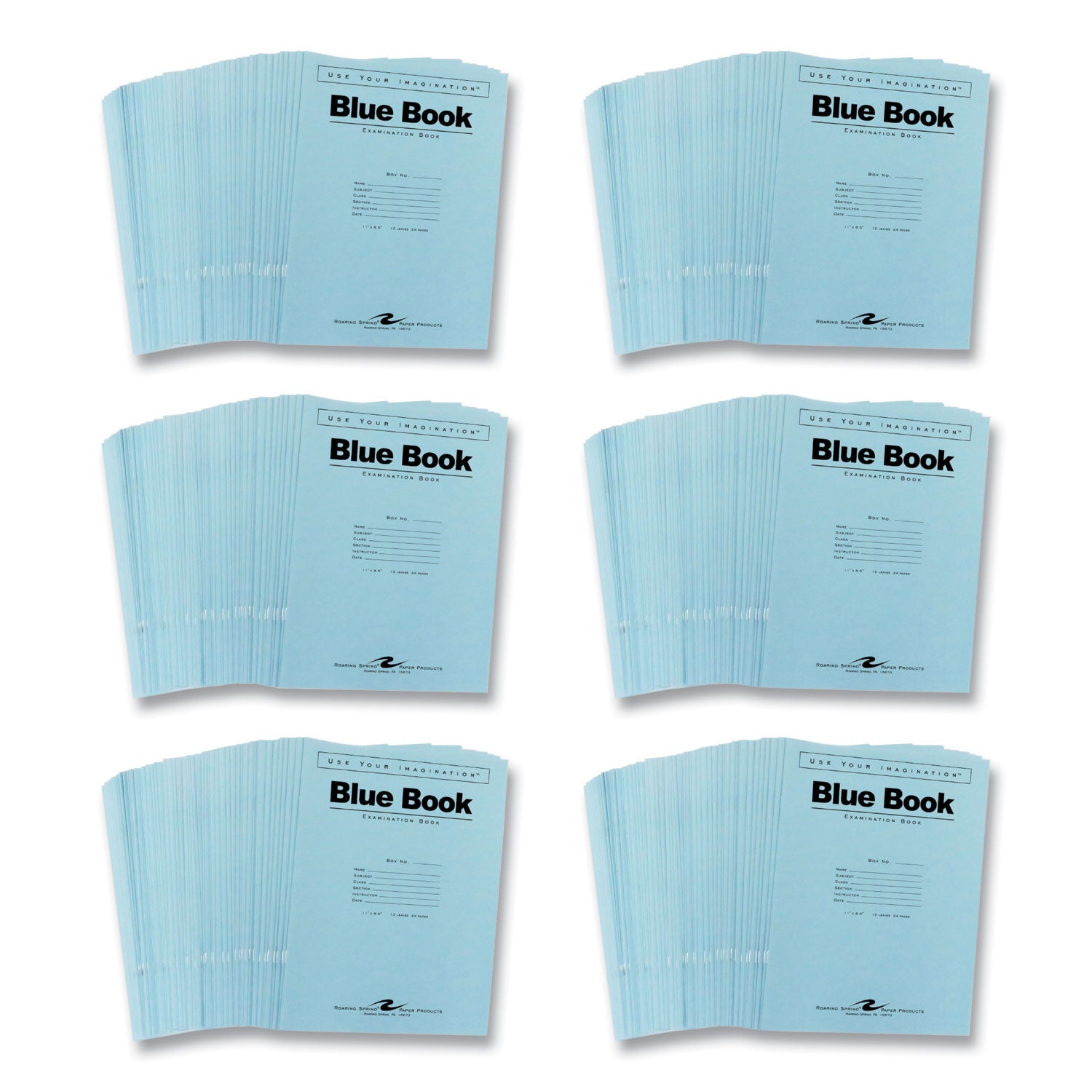 Roaring Spring Test Blue Exam Book