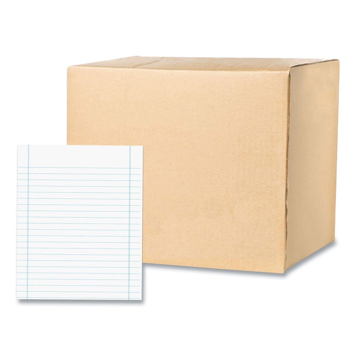 250 Sheets - 500 Pages - Printed - Both Side Ruling Surface - Blue Margin - 20 lb Basis Weight - 75 g/m² Grammage - 10" x 8" Sheet Size - 2" Height x 8" Width x 10" Length - White Paper - Poly Wrapped - 250/Pack - 1 Carton