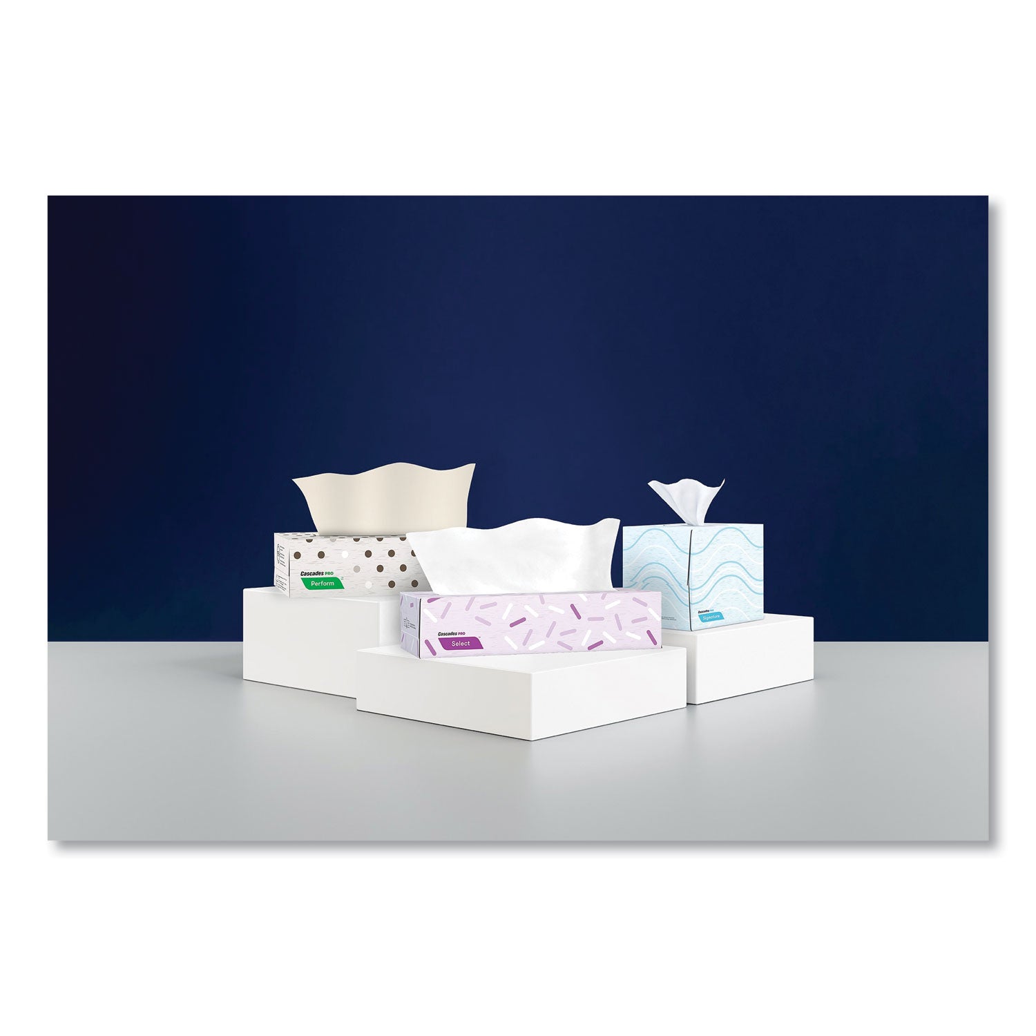 Signature Facial Tissue, 2-Ply, White, Cube, 90 Sheets/box, 36 Boxes/carton