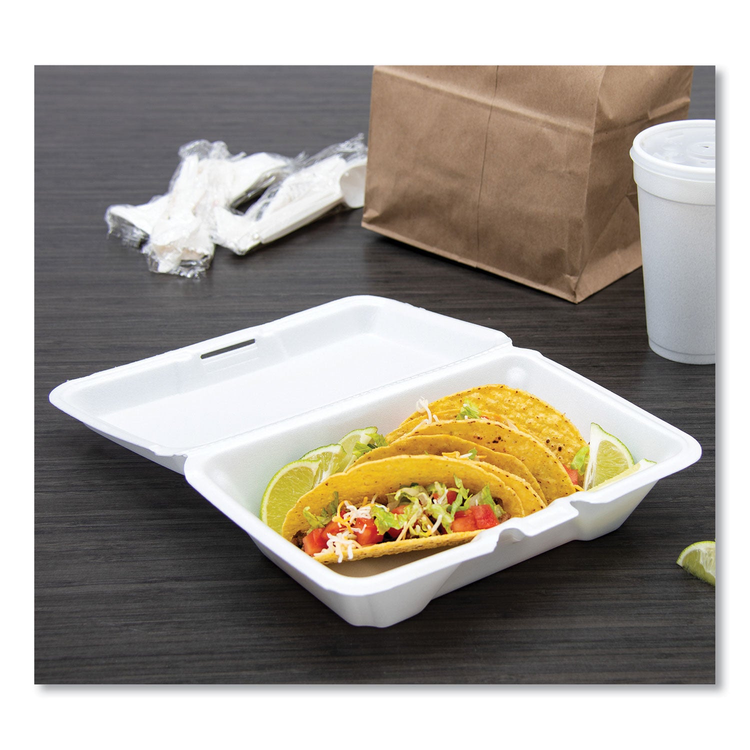 Transporting - Polystyrene, Foam Body - 2 / Carton