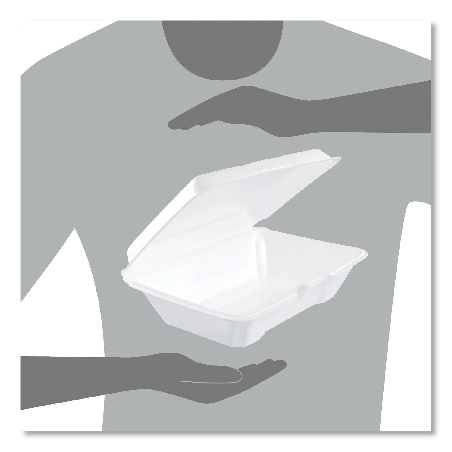 Transporting - Polystyrene, Foam Body - 2 / Carton