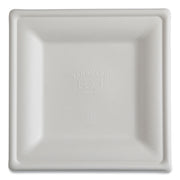 Vanguard Renewable and Compostable Sugarcane Plates, 10 x 10, White, 250/Carton