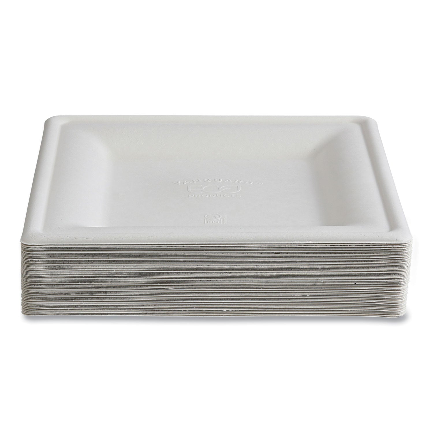Vanguard Renewable and Compostable Sugarcane Plates, 10 x 10, White, 250/Carton