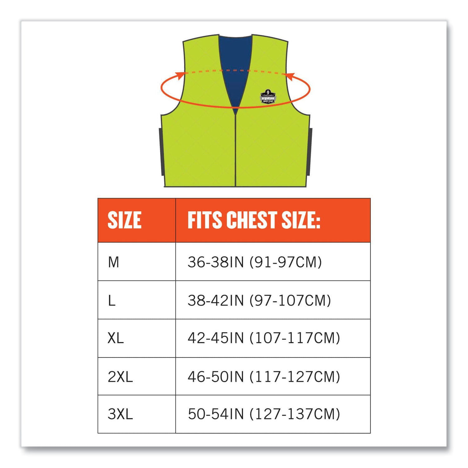 Ergodyne Chill-Its Evaporative Cooling Vest - Large - Polymer, Nylon - Lime - Comfortable, High Visibility, Ventilation, Stretchable, Water Repellent, Lightweight, Durable, Washable, Zipper Closure - 1 Each