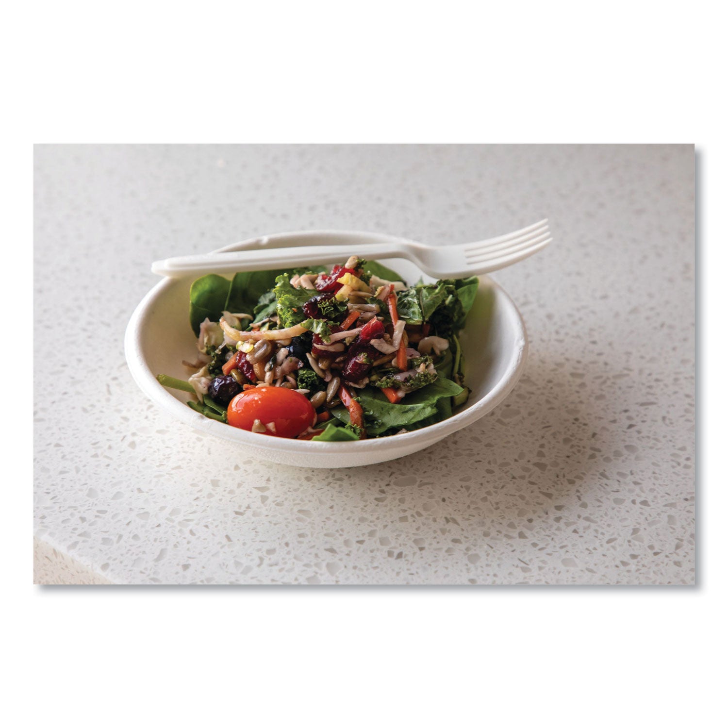 Breakroom - Disposable - Microwave Safe - White - Sugarcane Fiber Body - 1000 / Carton