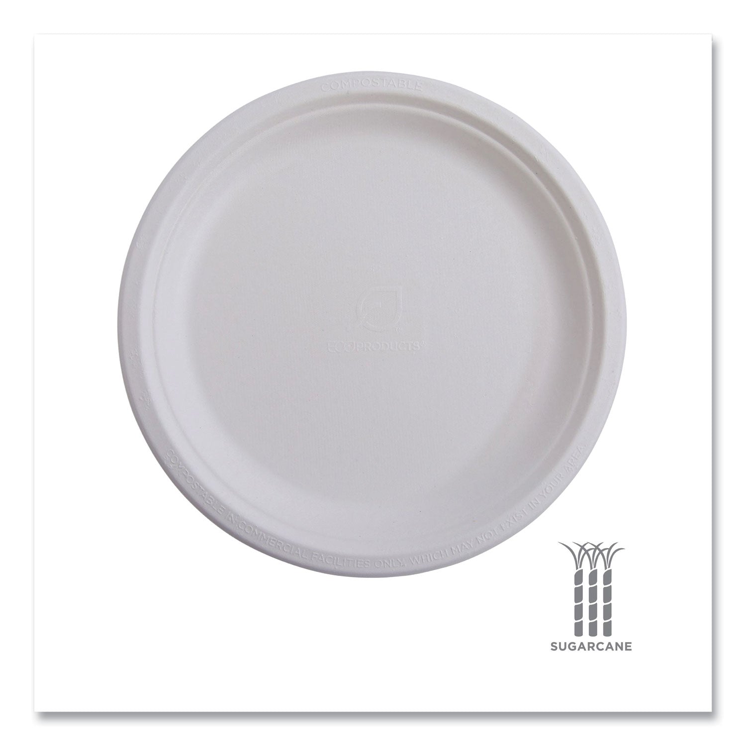 Breakroom - Disposable - Microwave Safe - 6" Diameter - White - Sugarcane Fiber Body - 1000 / Carton
