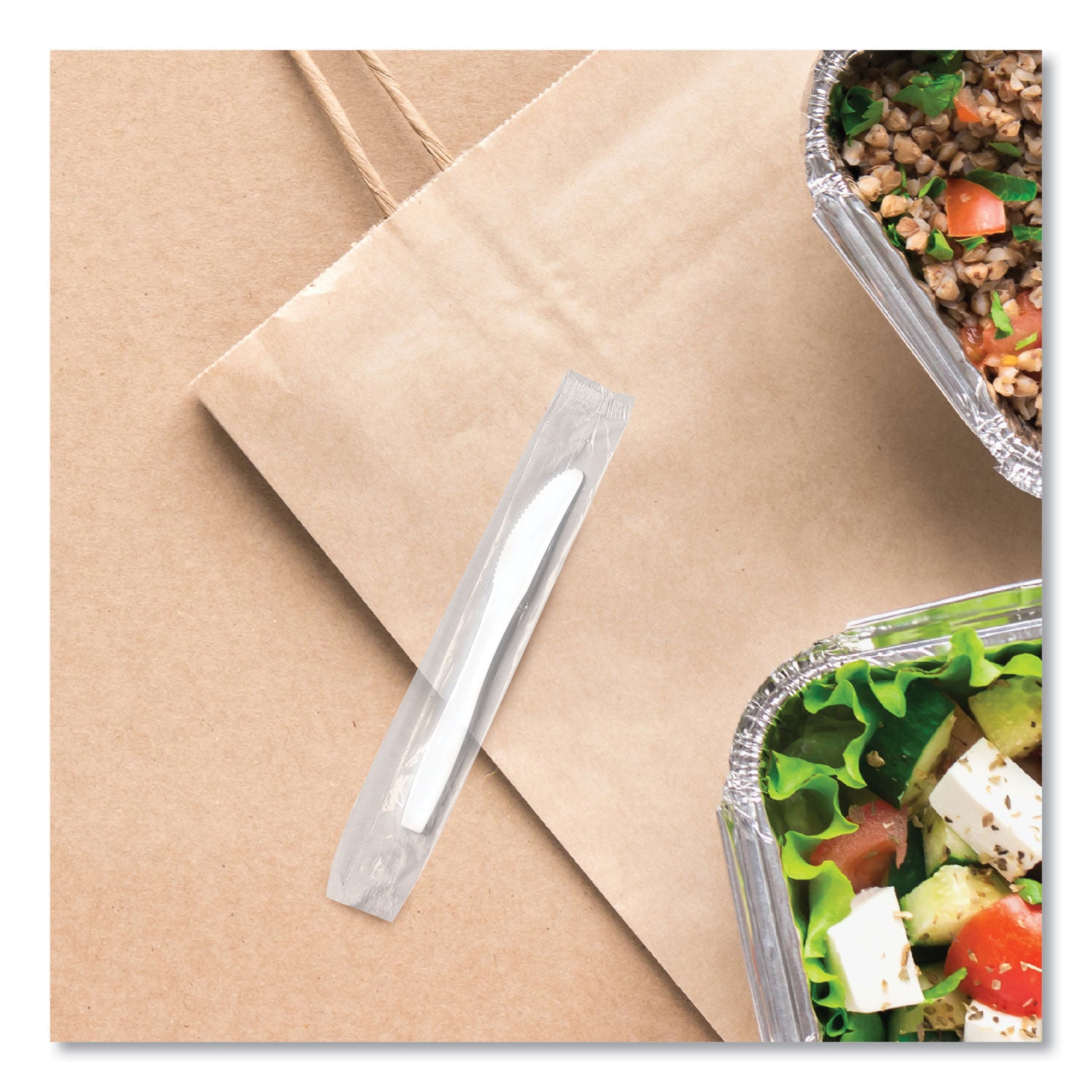 Regal Mediumweight Cutlery, Individually Wrapped, Knife, Plastic, White, 1,000/Carton
