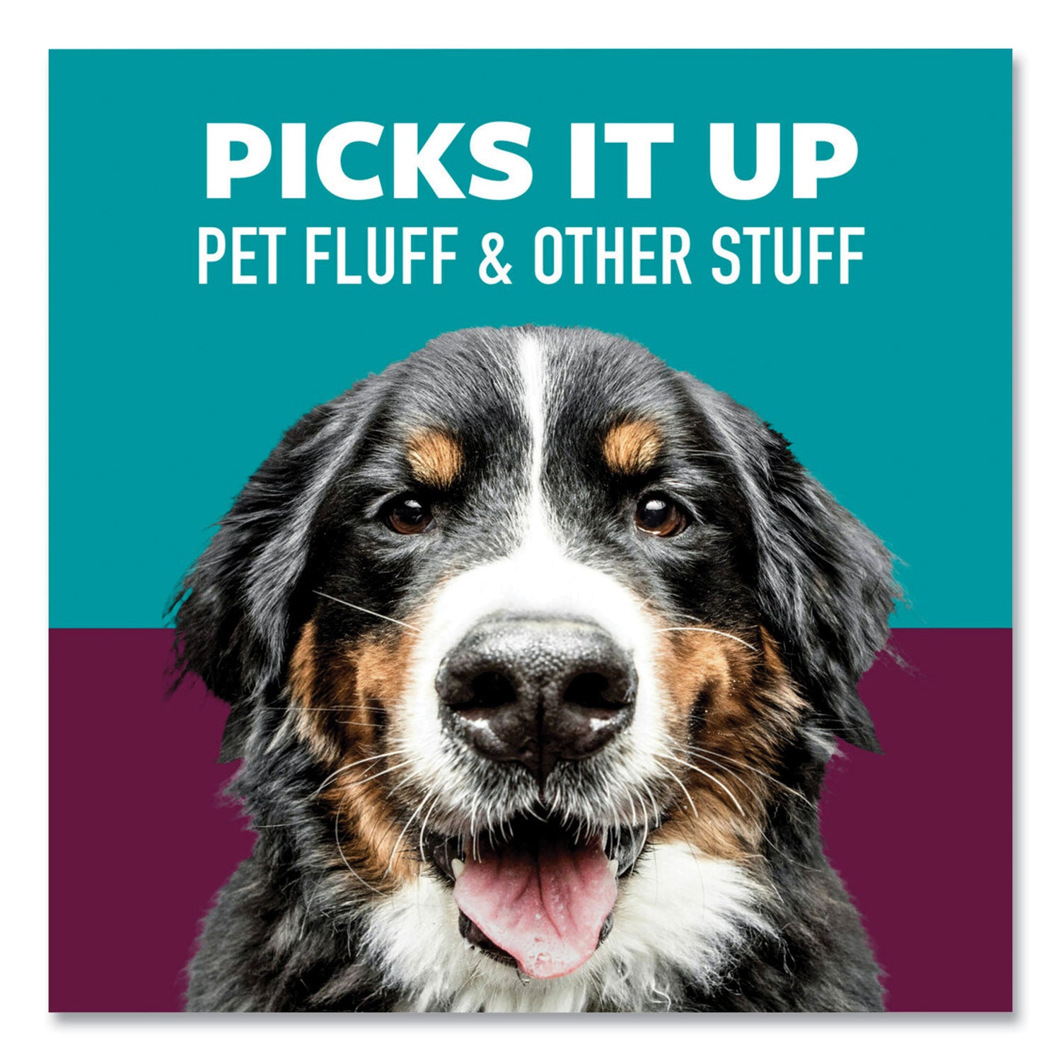 Scotch-Brite Pet Hair Pickup Lint Roller, 70 Sheets, 1 Each